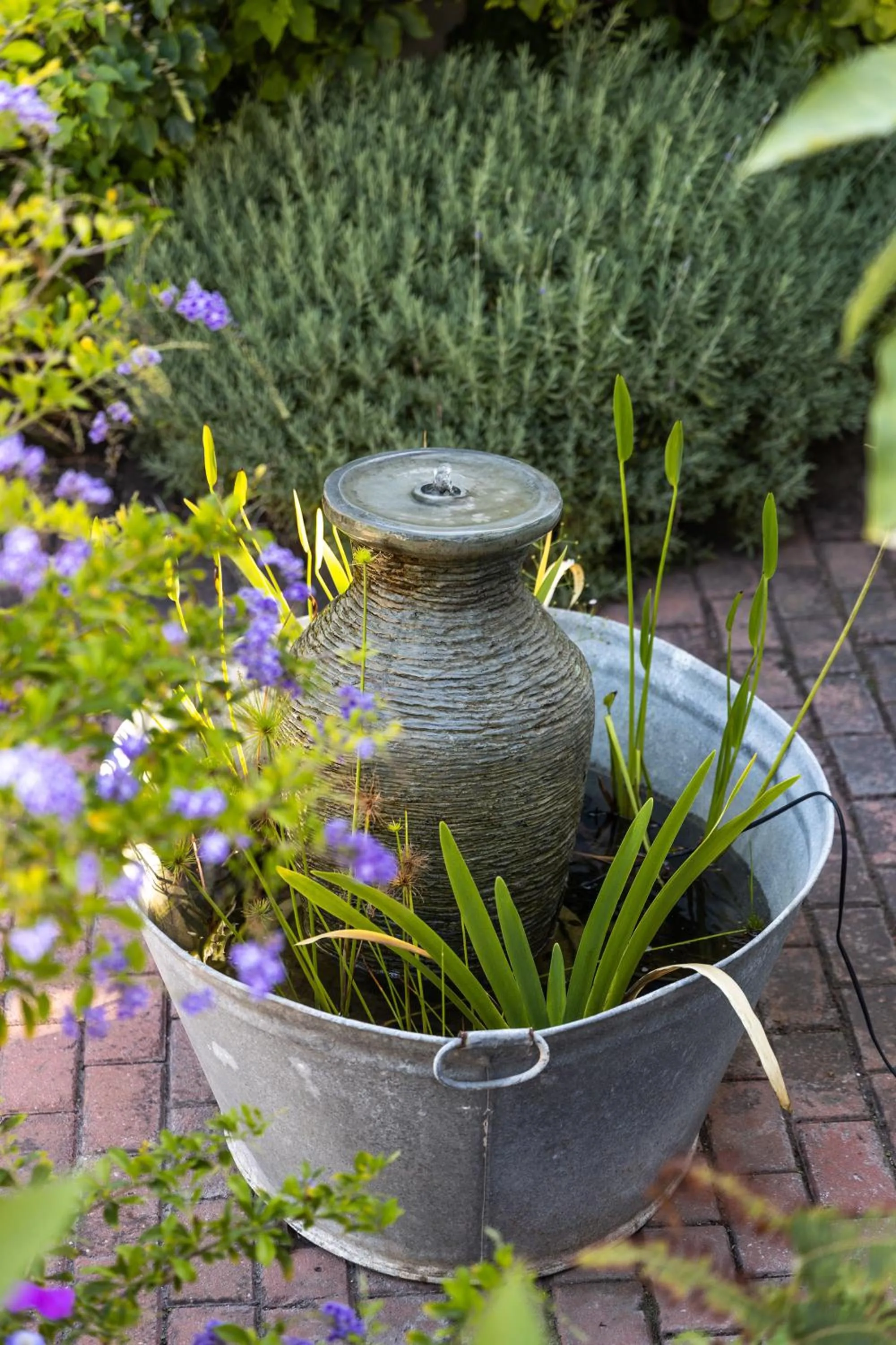 Garden in Walker Bay Manor Mansion PTY