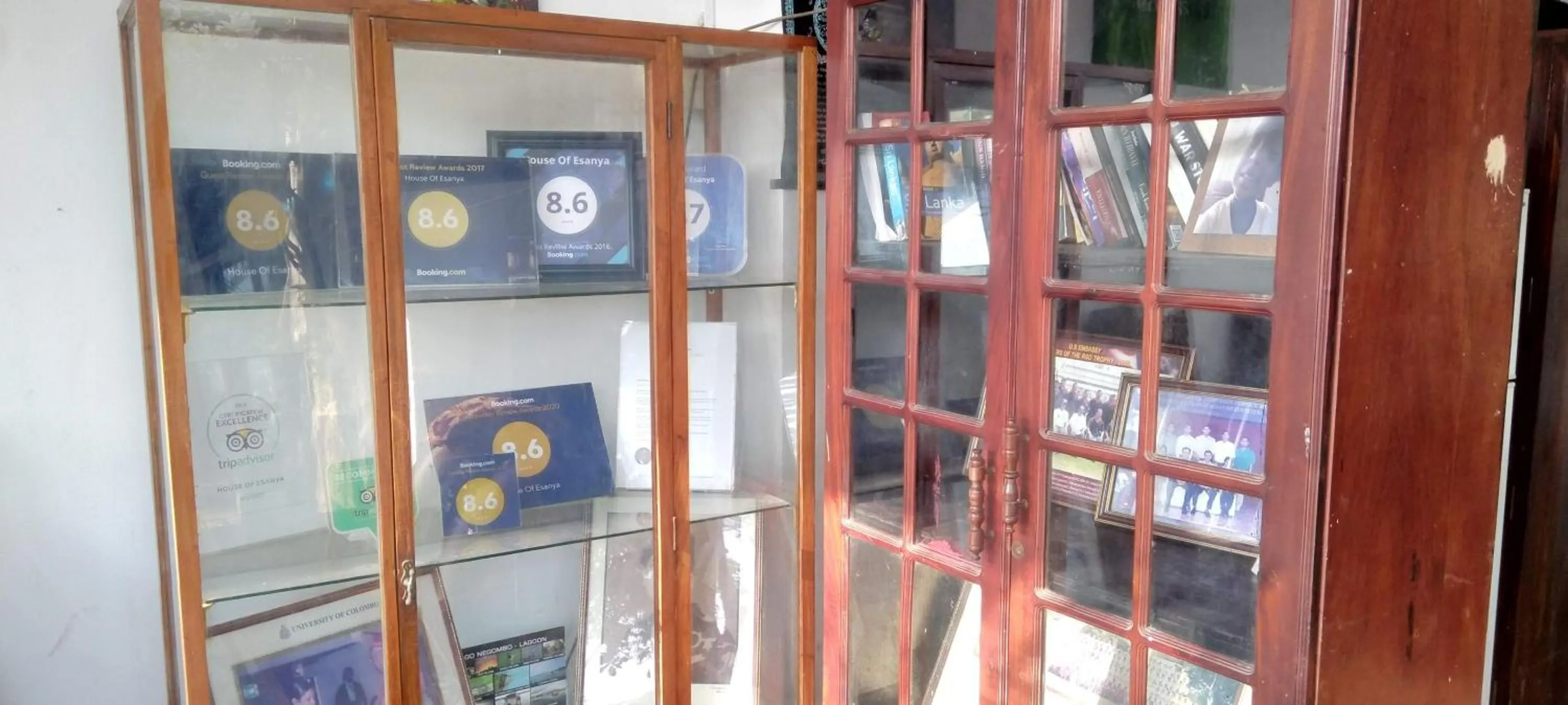 Library in House Of Esanya