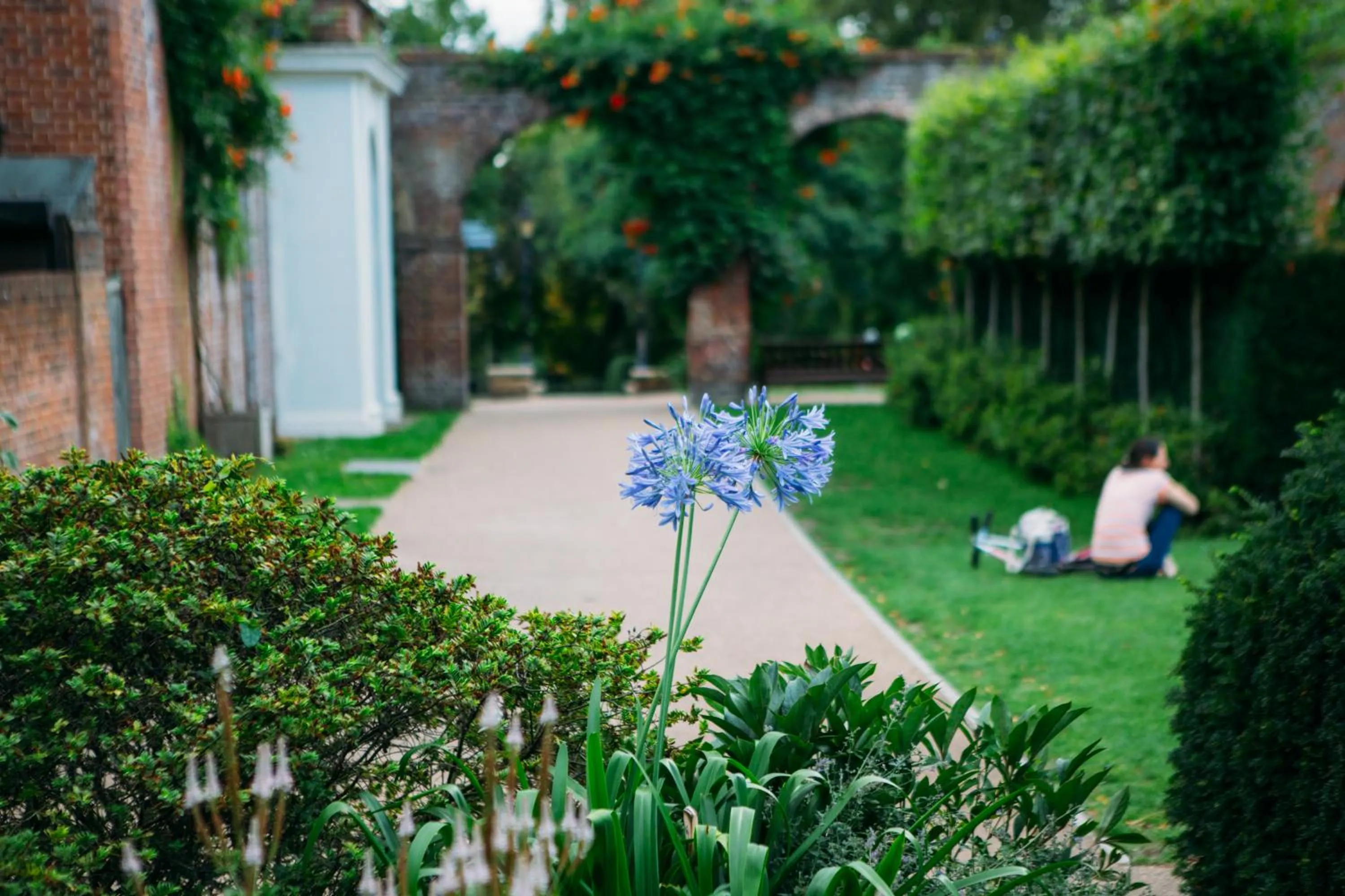 Neighbourhood in Safestay London Kensington Holland Park