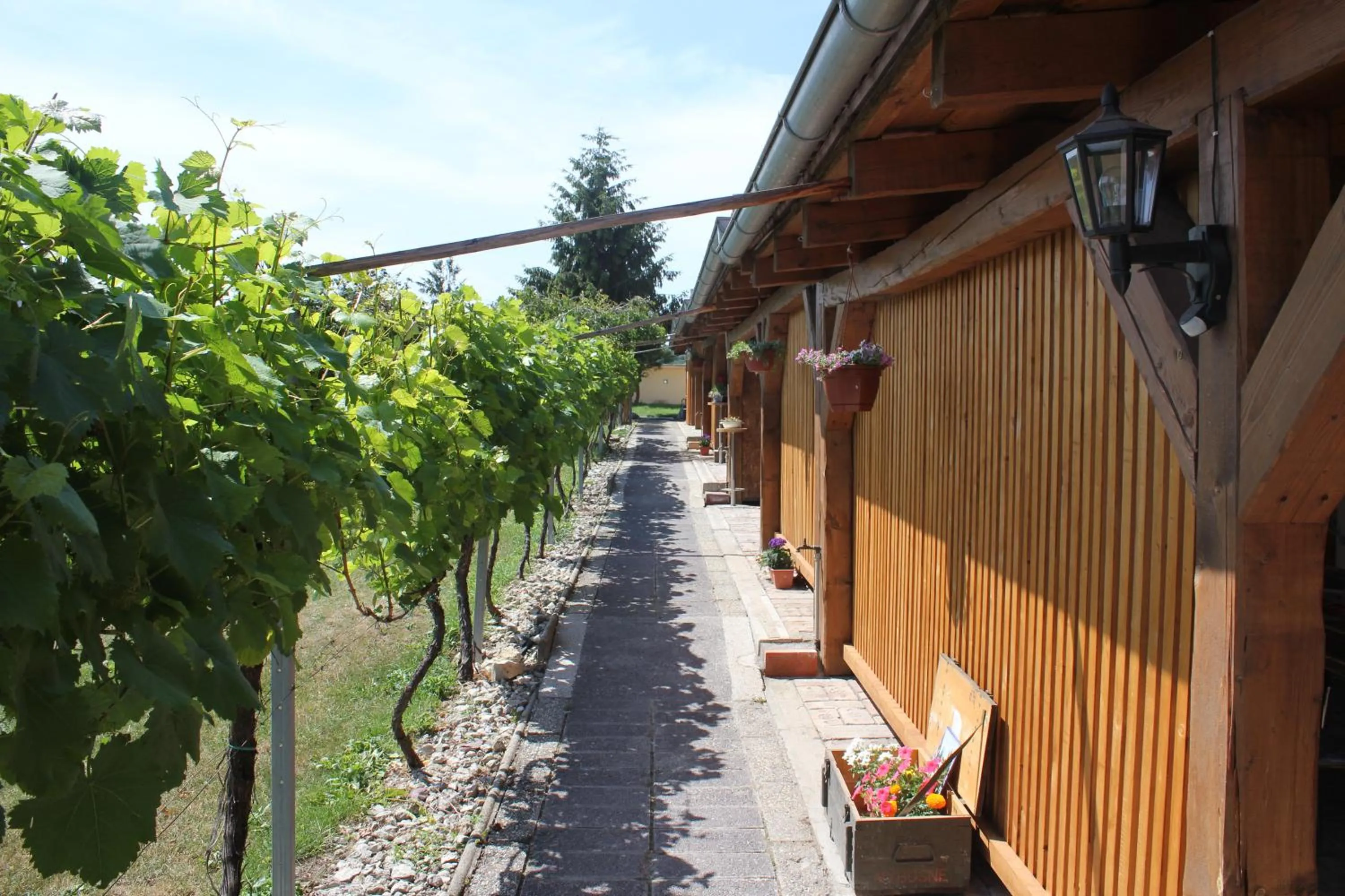 Apartmán Lípa Mikulov