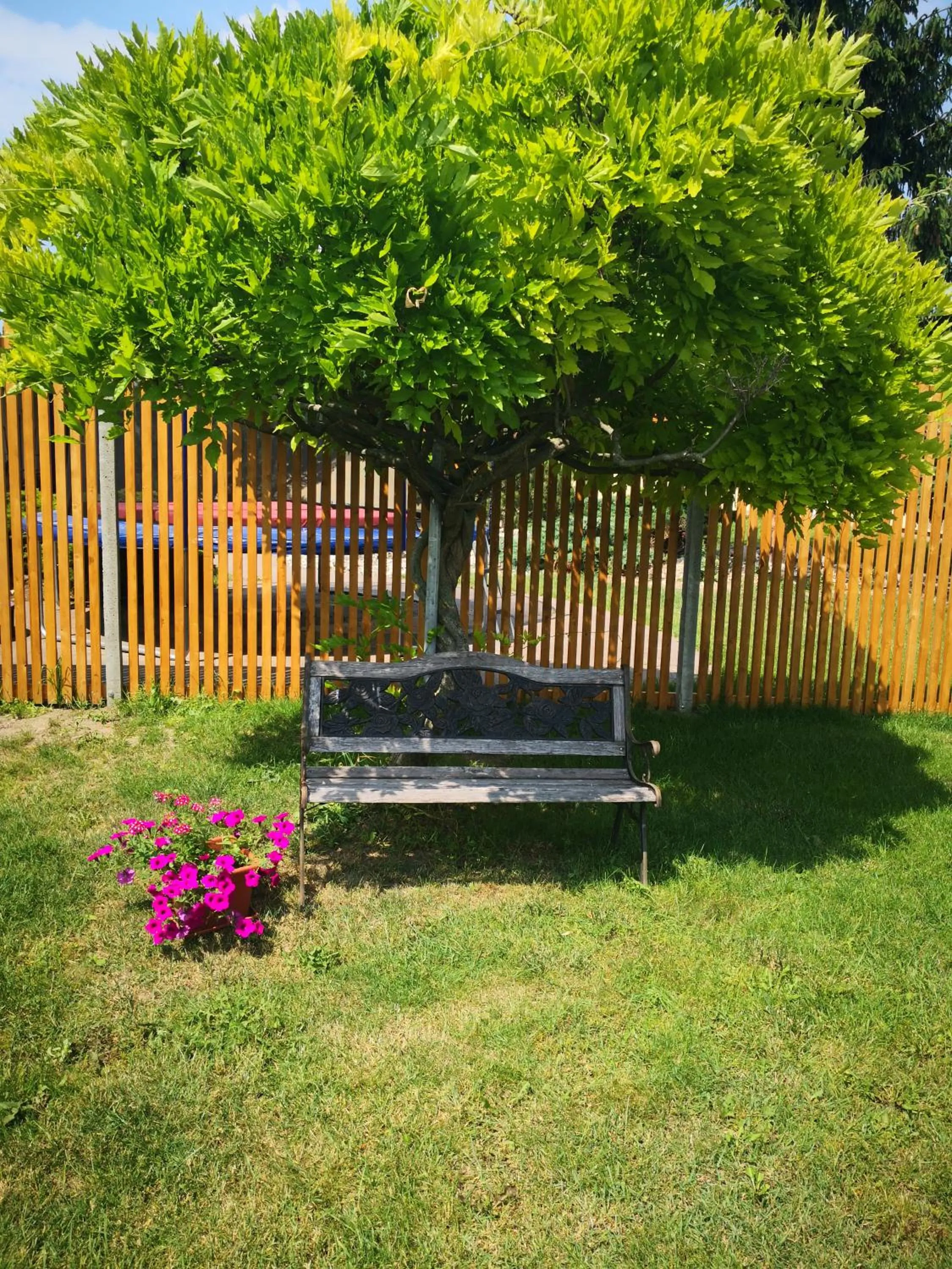 Apartmán Lípa Mikulov