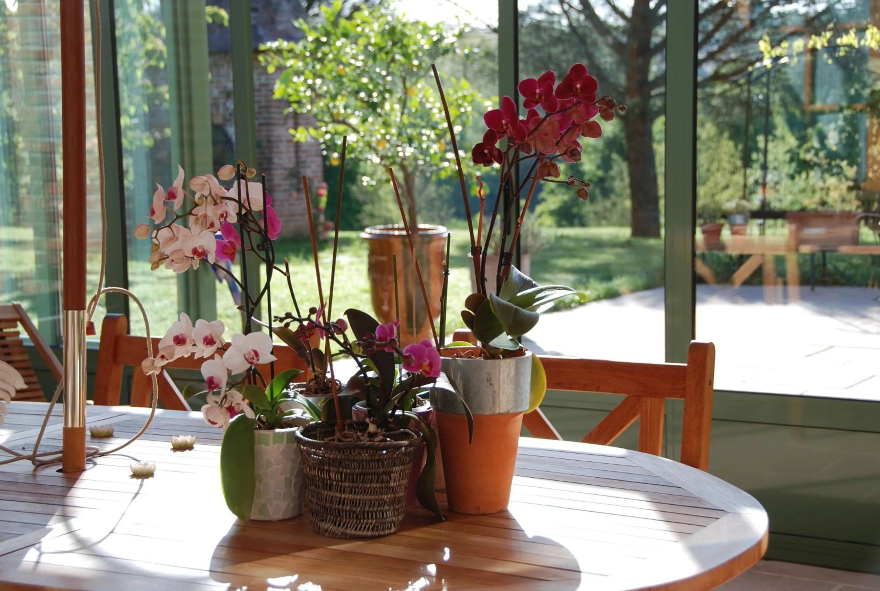 Patio in Le Manoir Saint Clair