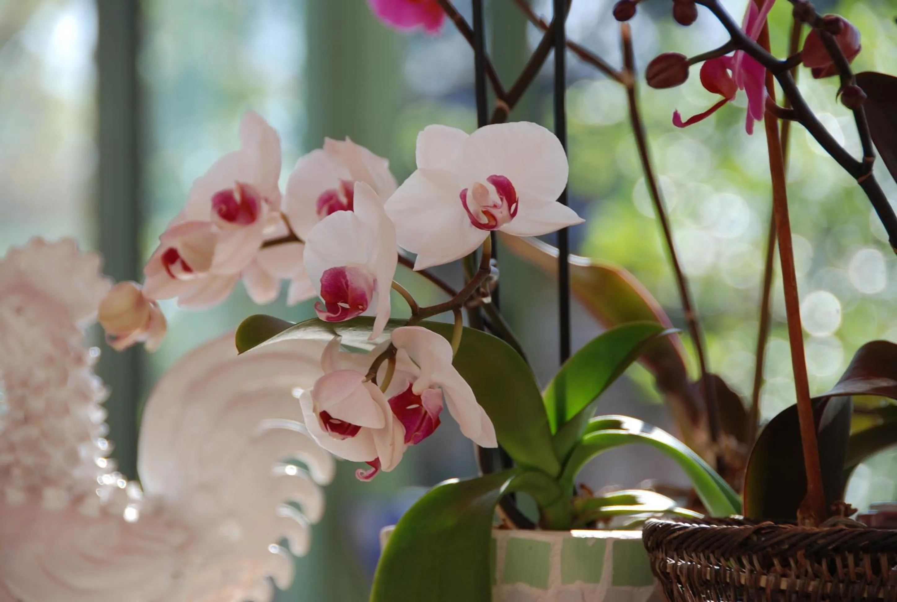 Decorative detail in Le Manoir Saint Clair