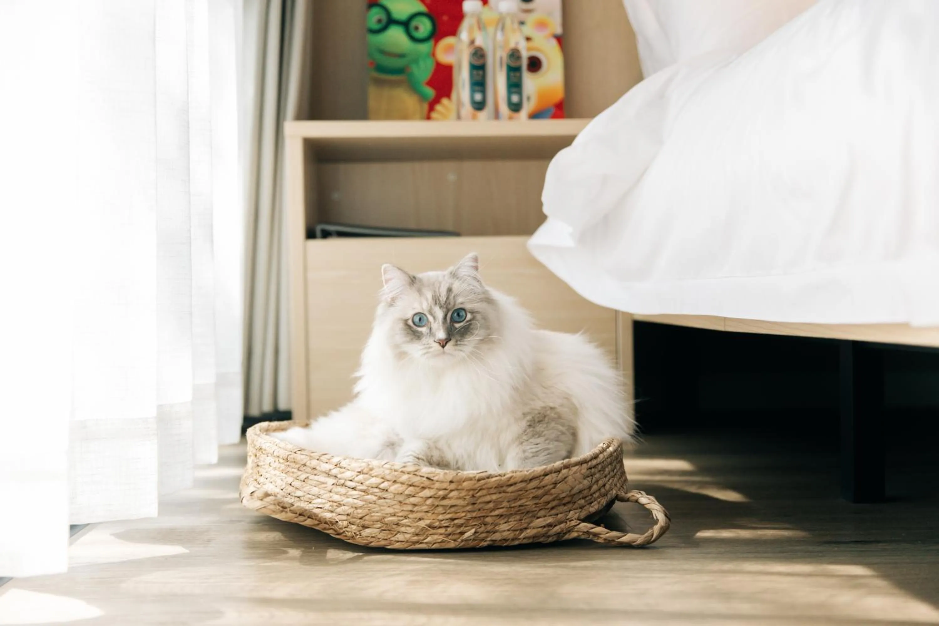 Pets in Nian hotel & resorts