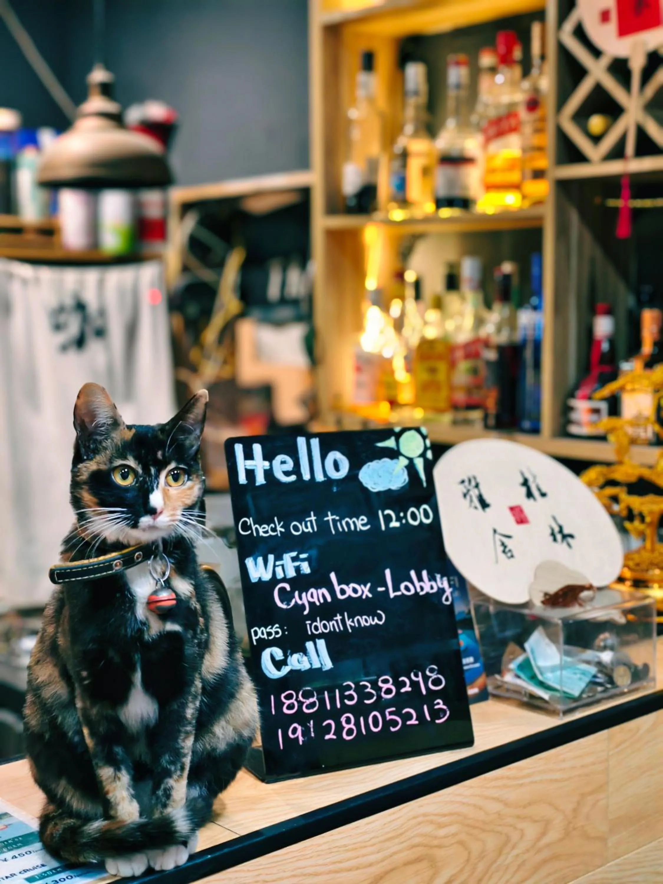 Lobby or reception in Guilin Cyan Box Guest House