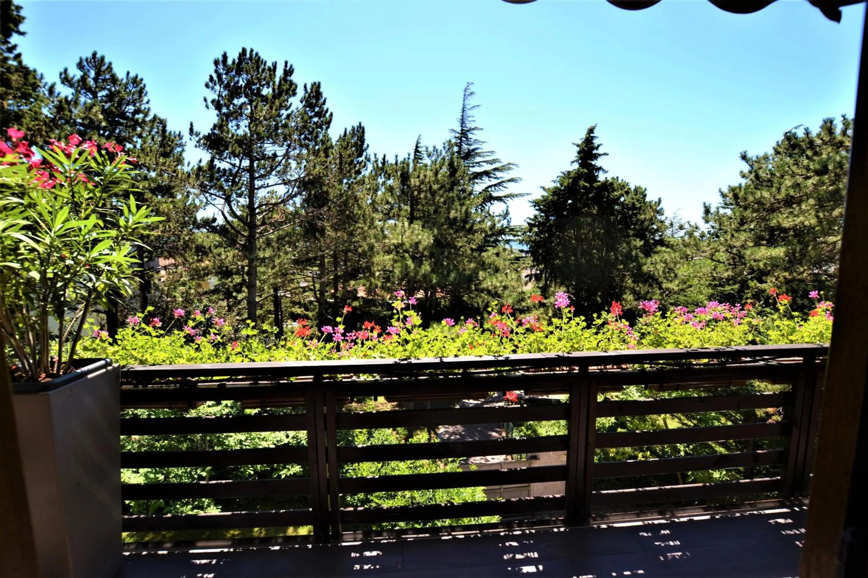 Garden view in Triestè59 B&B