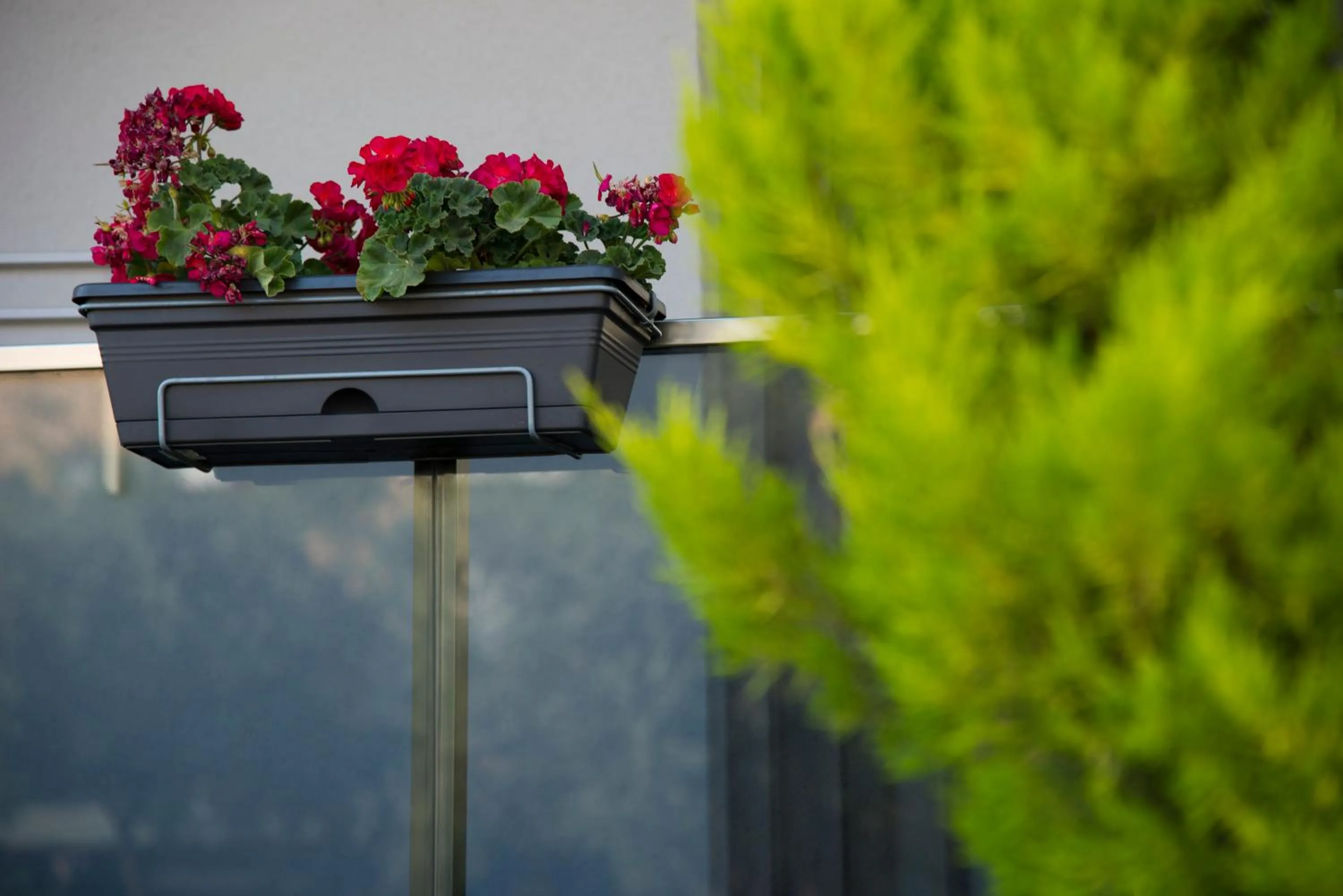 Decorative detail in Trend Suites