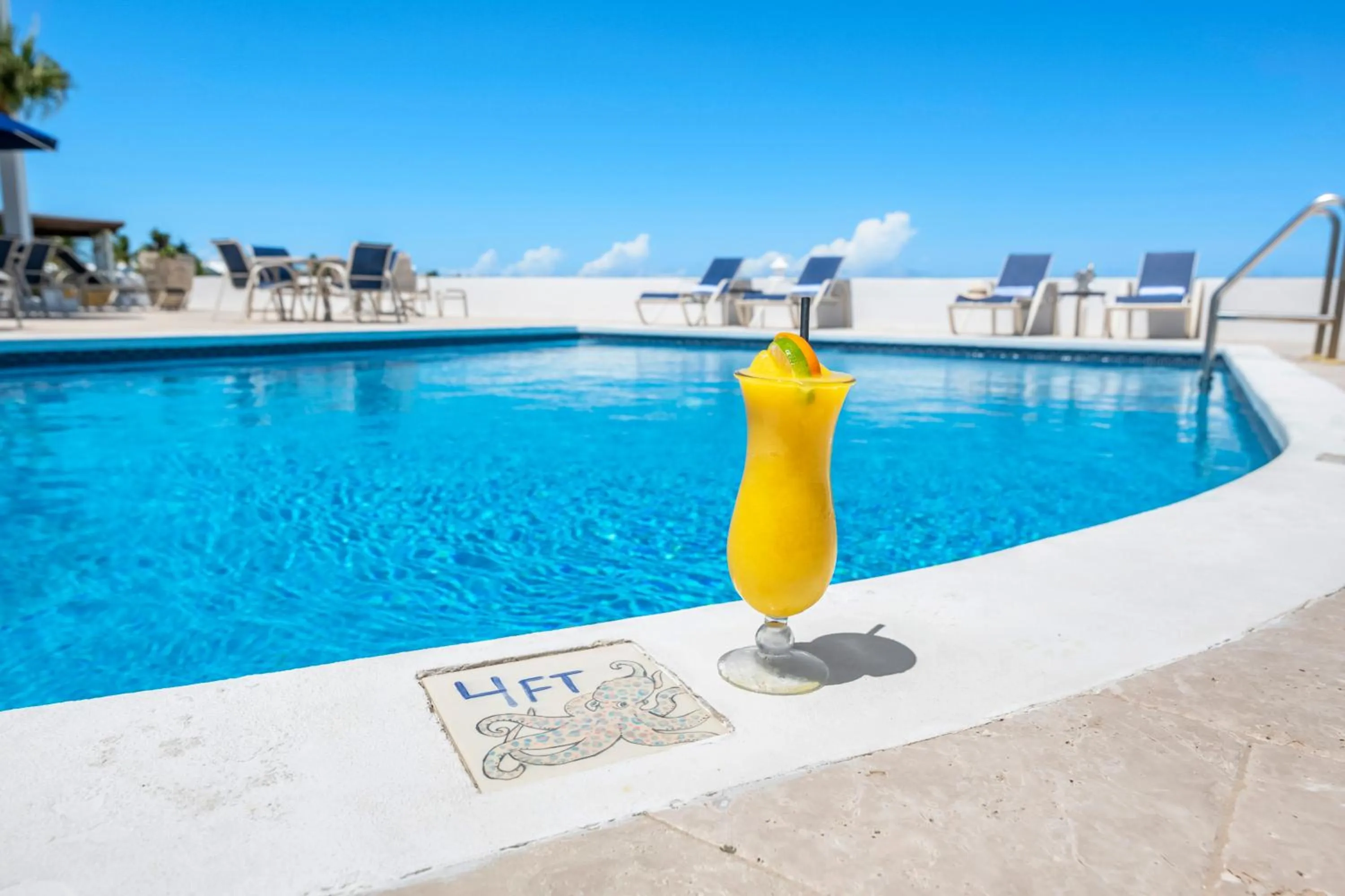 Lounge or bar in Augusta Bay