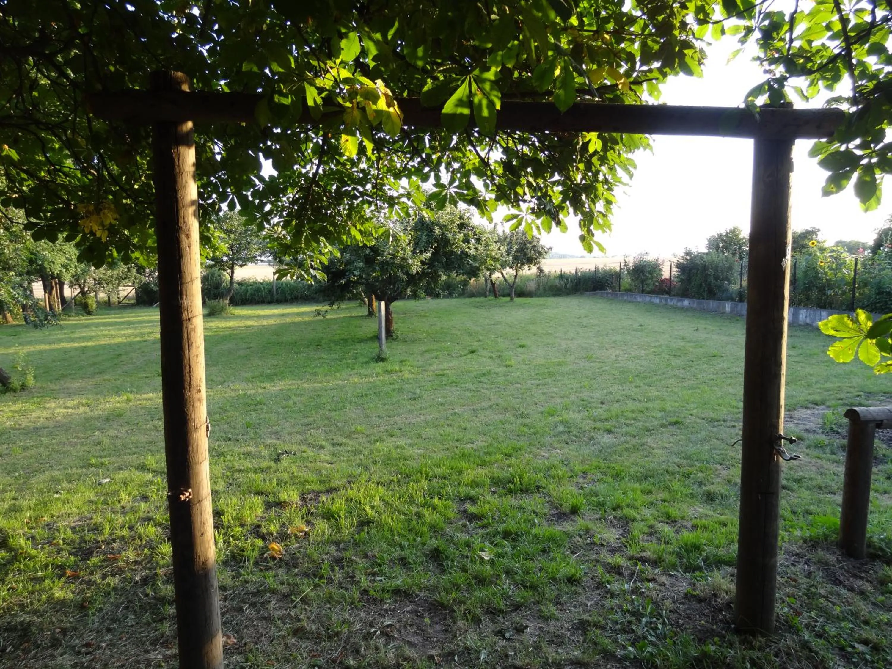 BBQ facilities in Nitschke "Zum Nusshof"