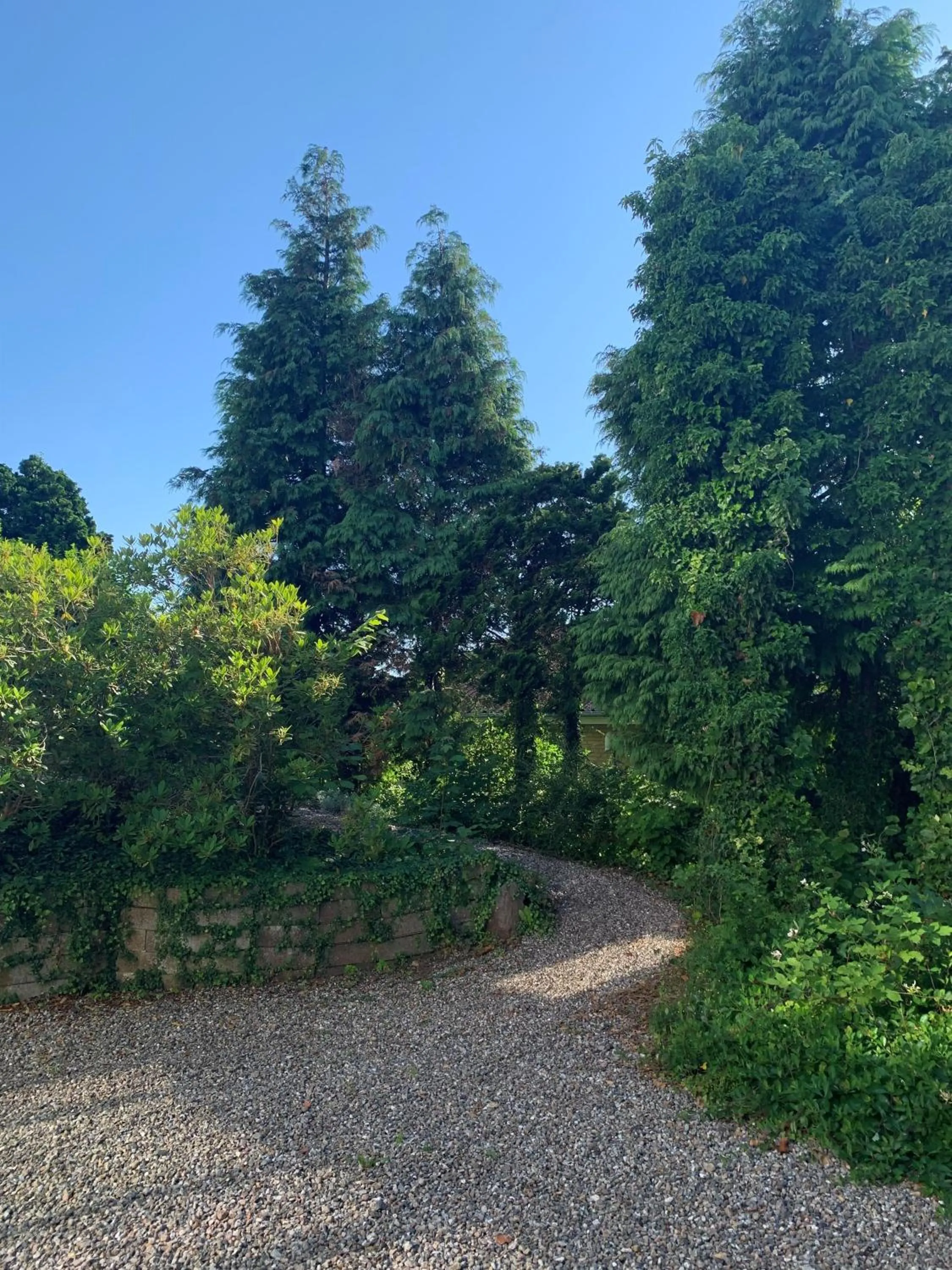 Garden in Hotel Sønderborg Garni