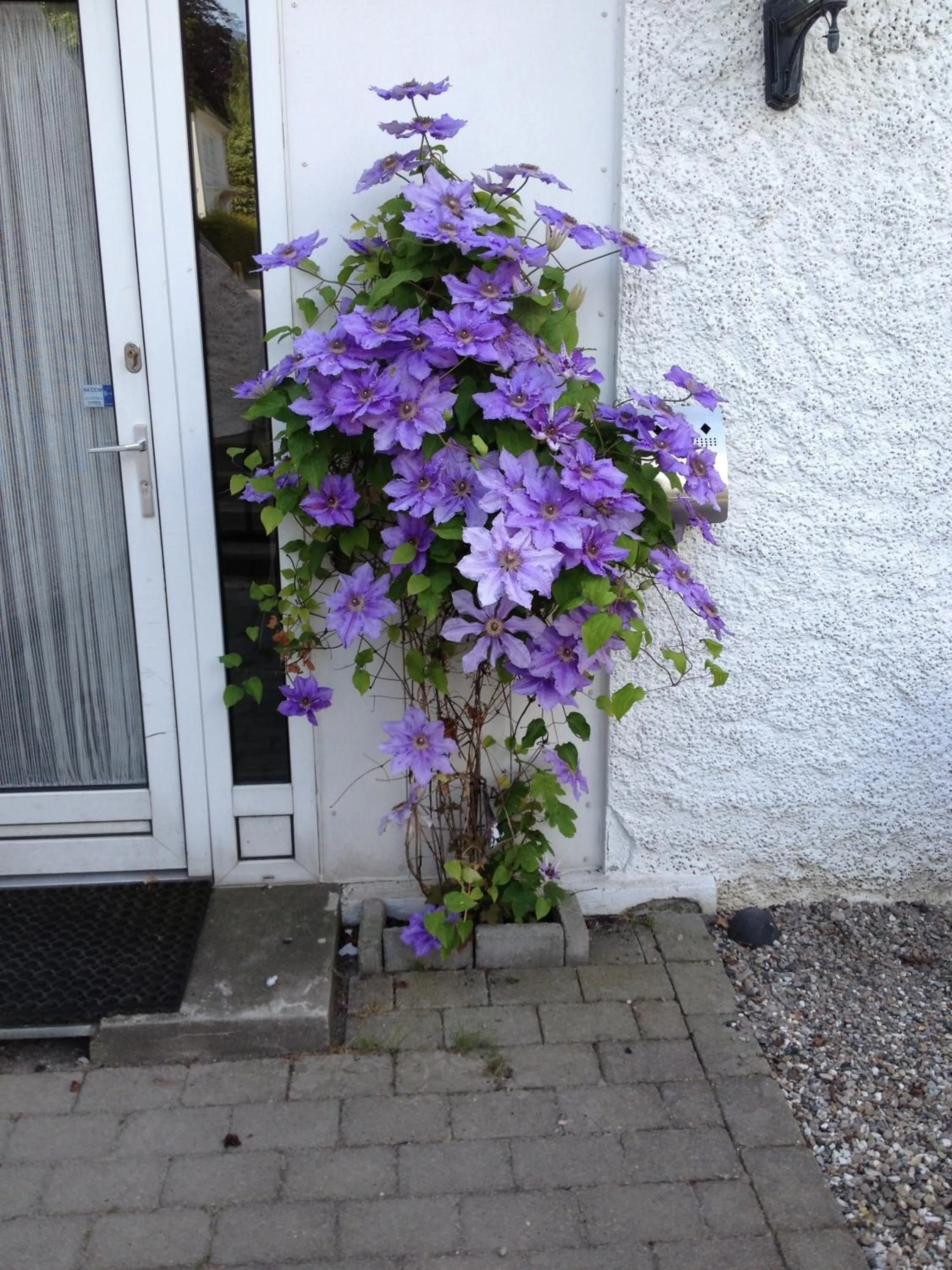 Other in Hotel Sønderborg Garni