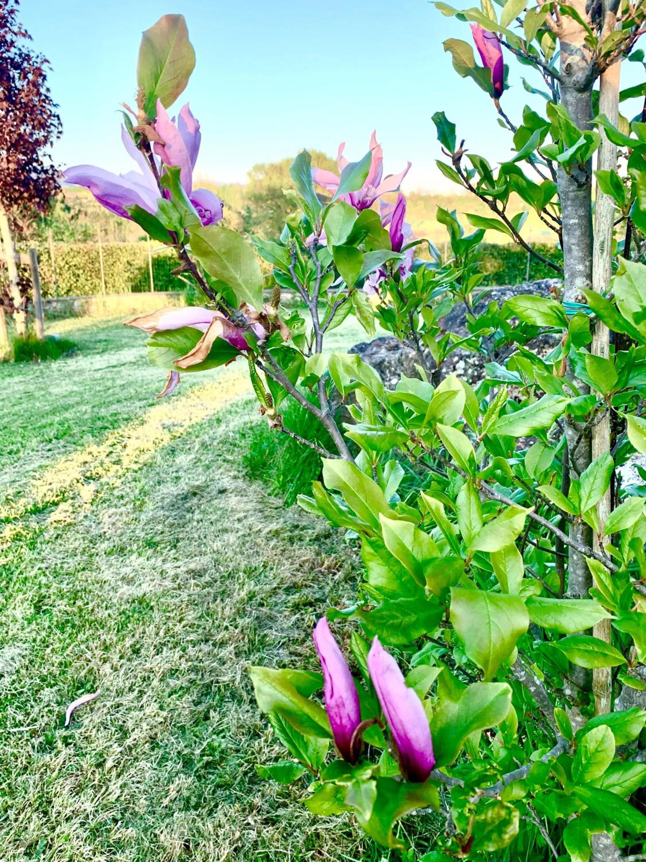 Garden in La Corte di Ronzano