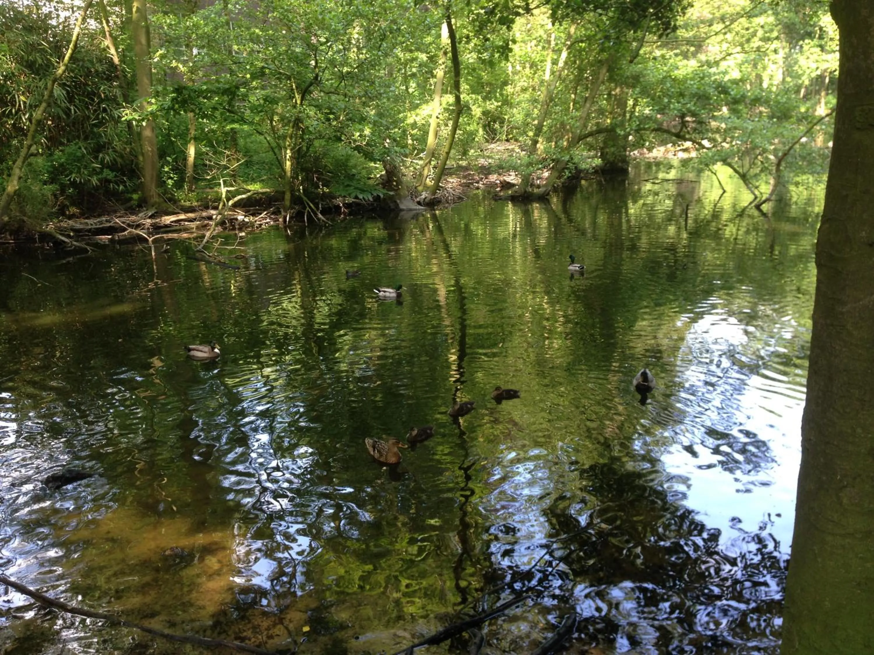 Neighbourhood in Homestay Mimi's Rental