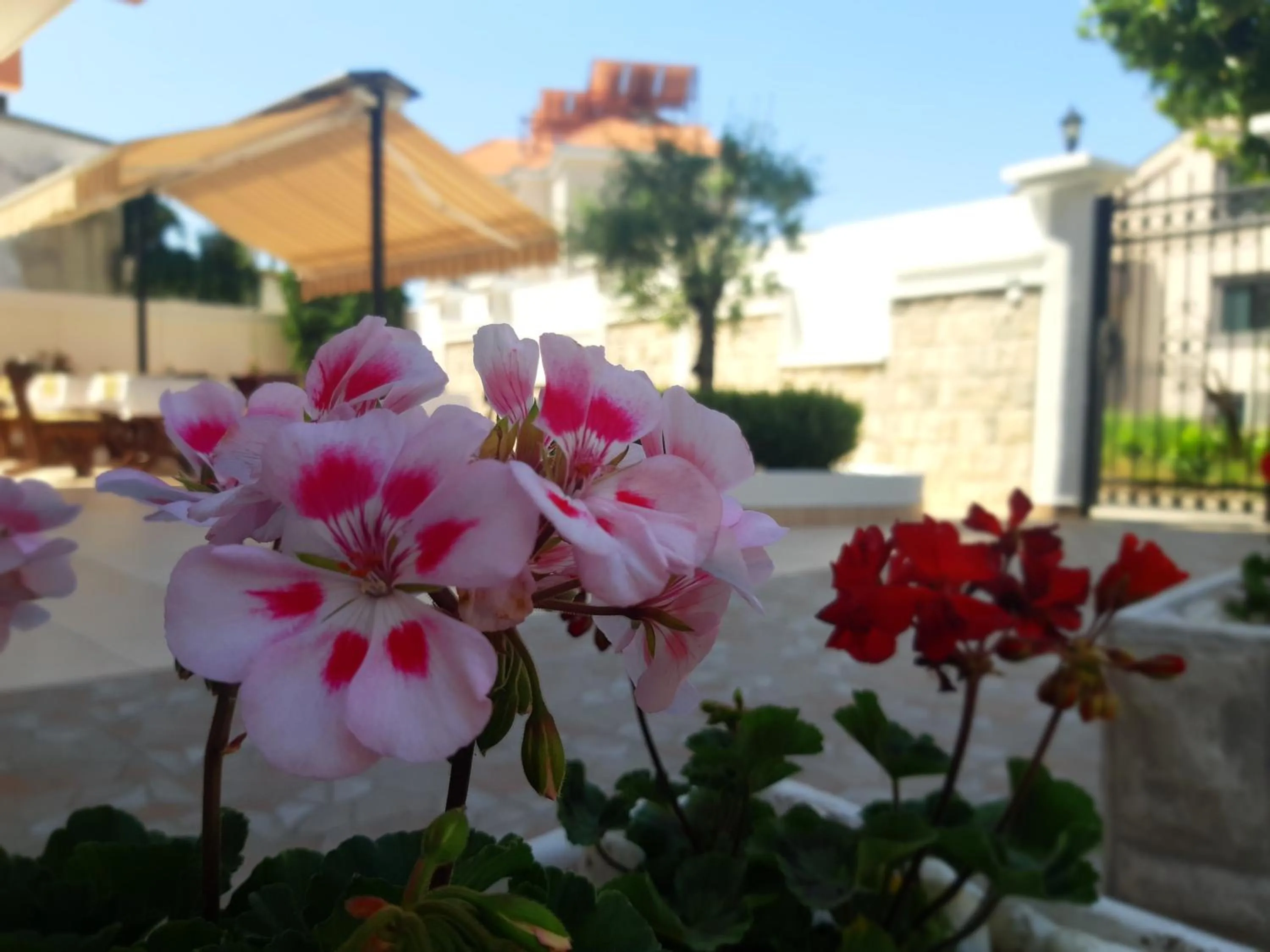 Facade/entrance in Garni Hotel Koral
