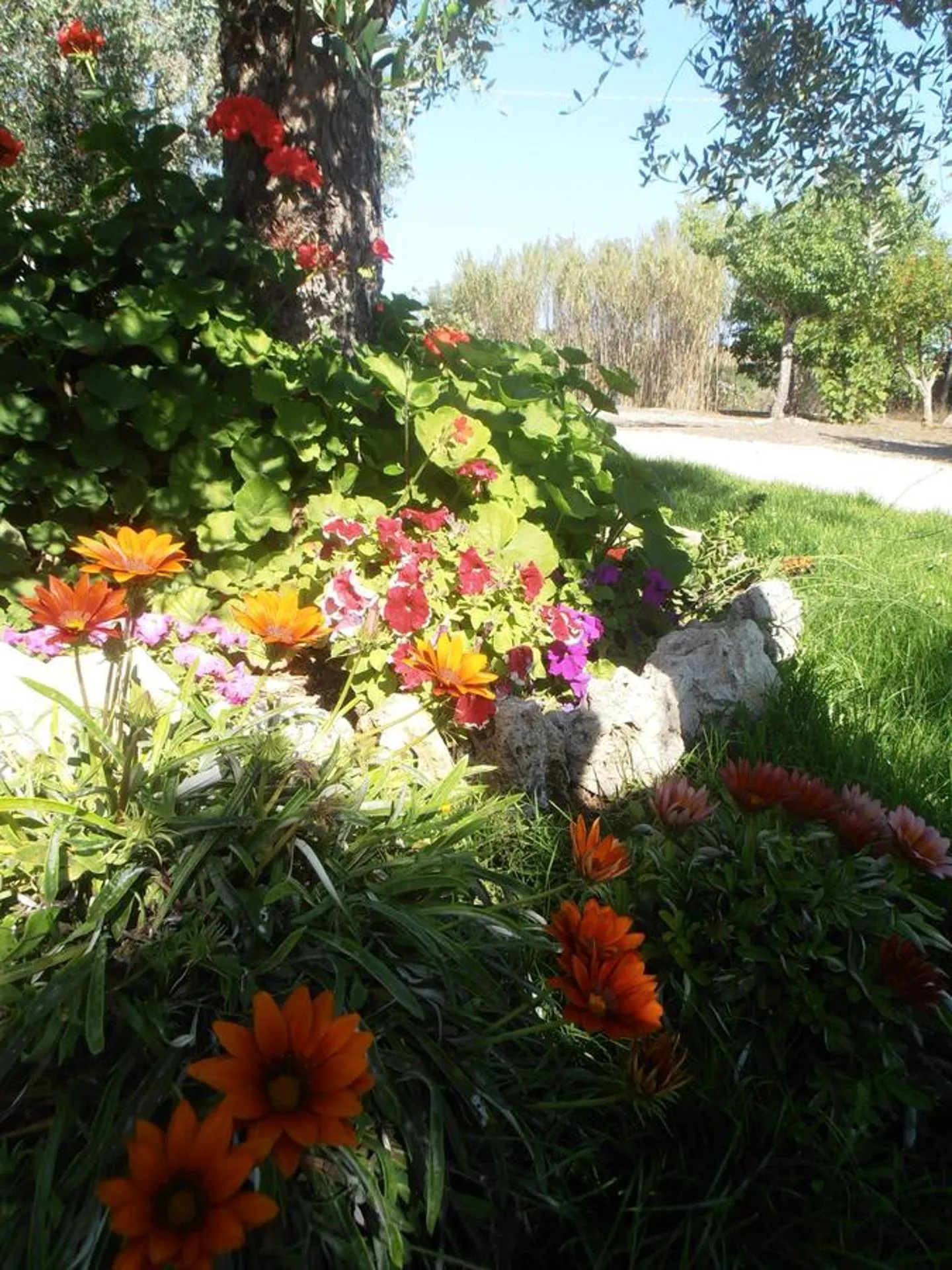 Floor plan in Il Corallo del Salento