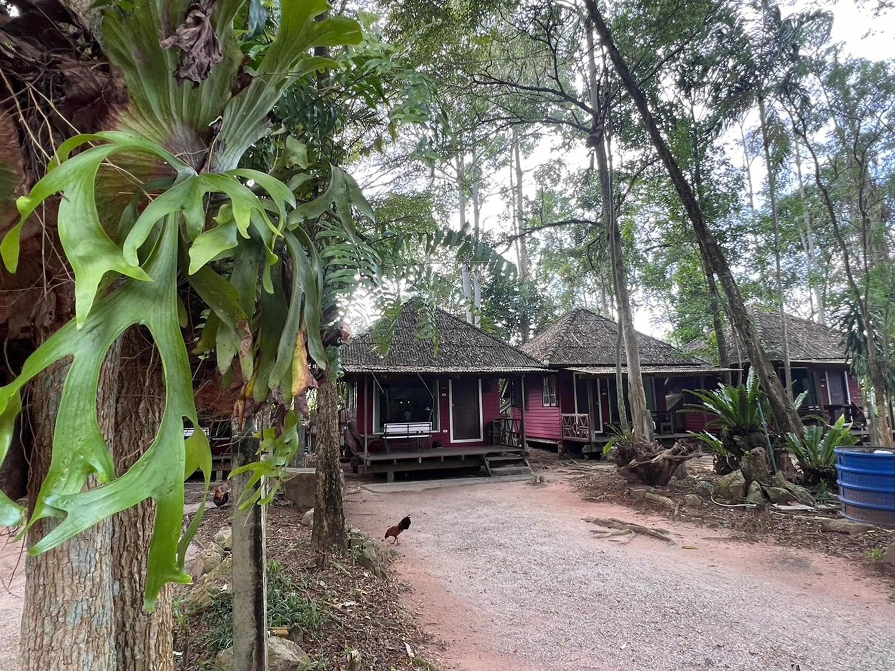 Property building in Pang Mai Resort