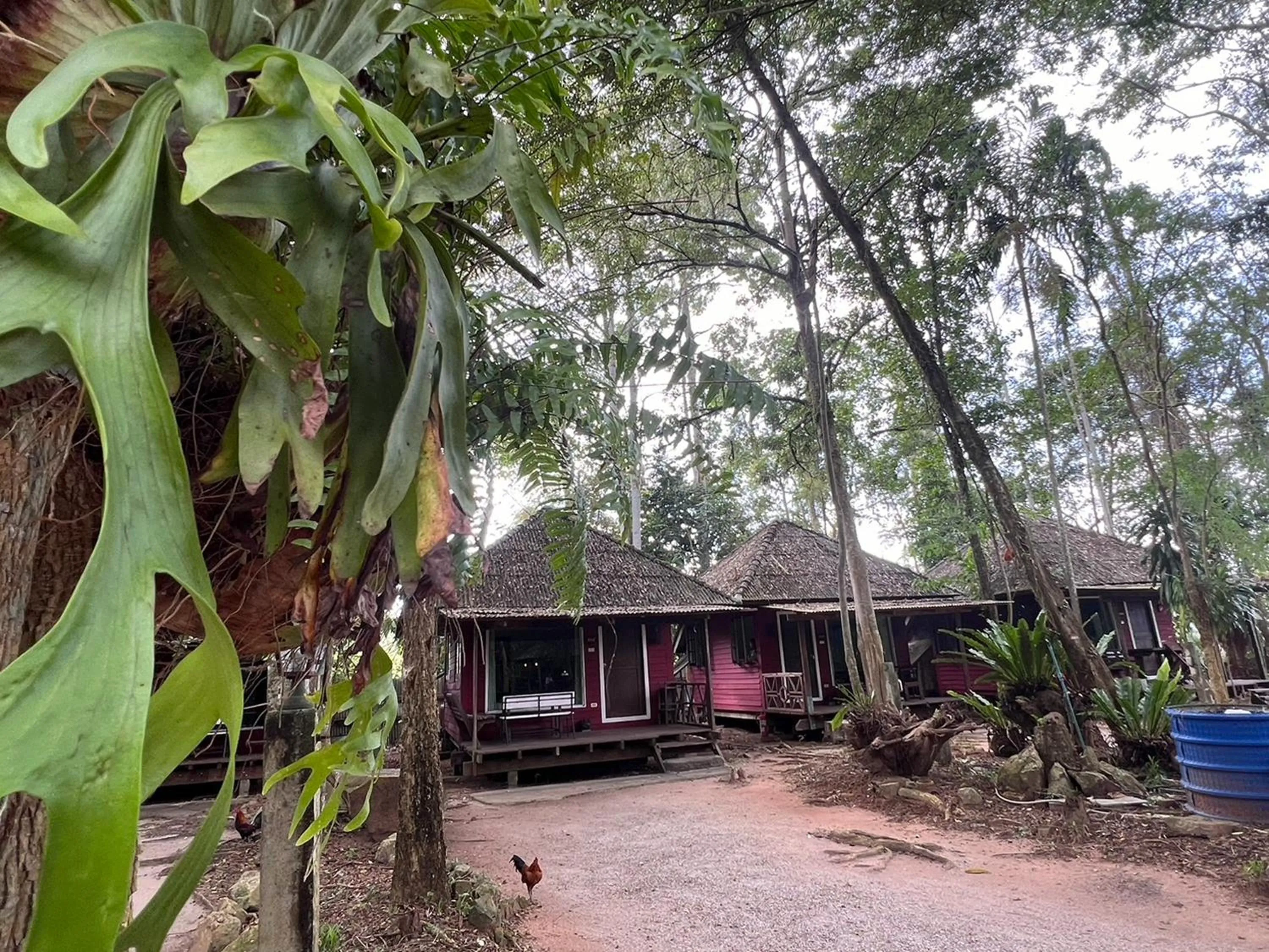 Property building in Pang Mai Resort