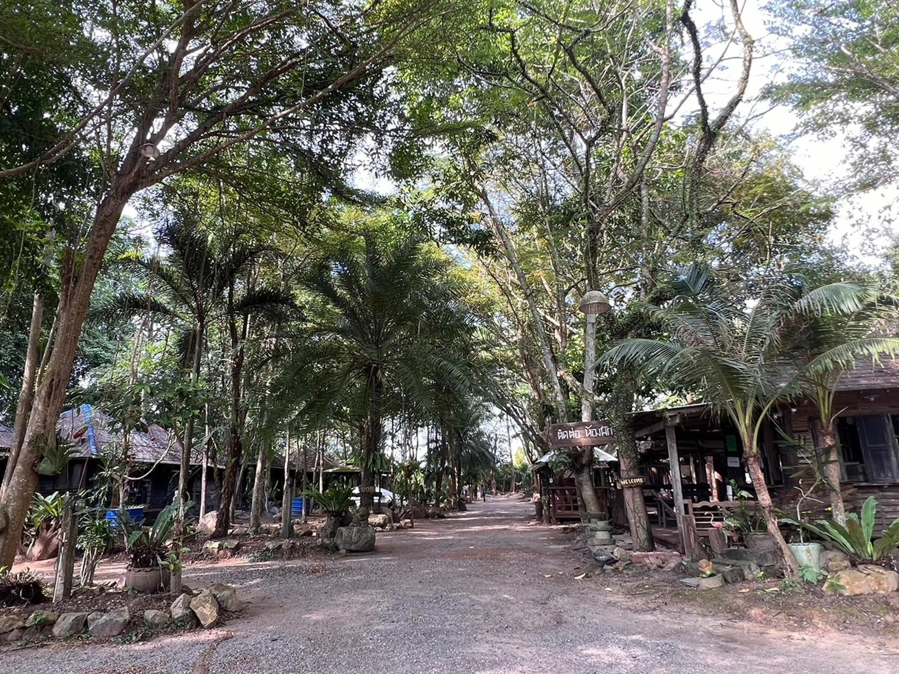 Natural landscape in Pang Mai Resort