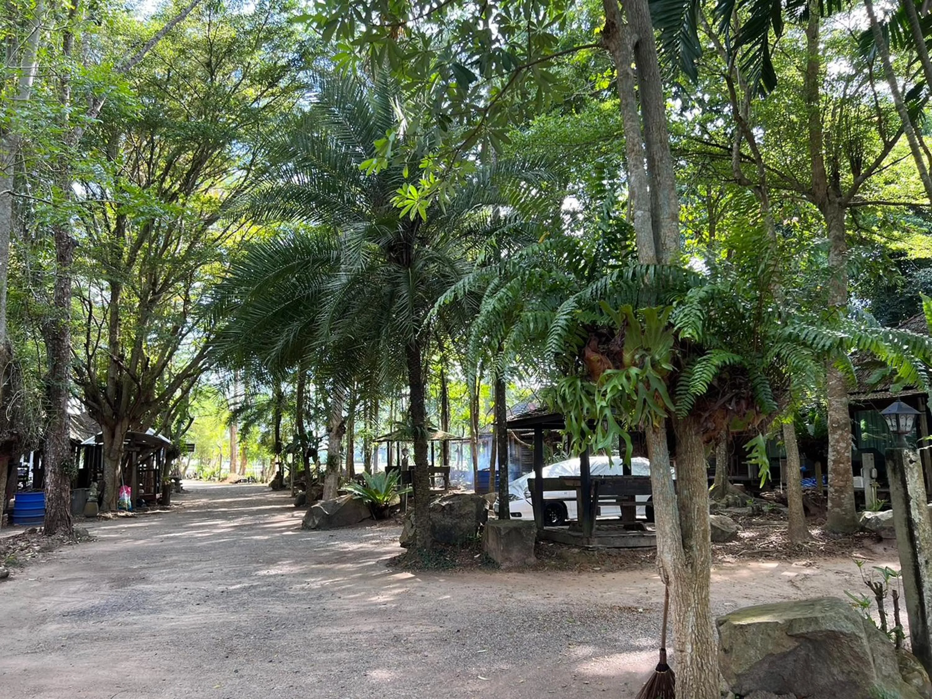 Natural landscape in Pang Mai Resort