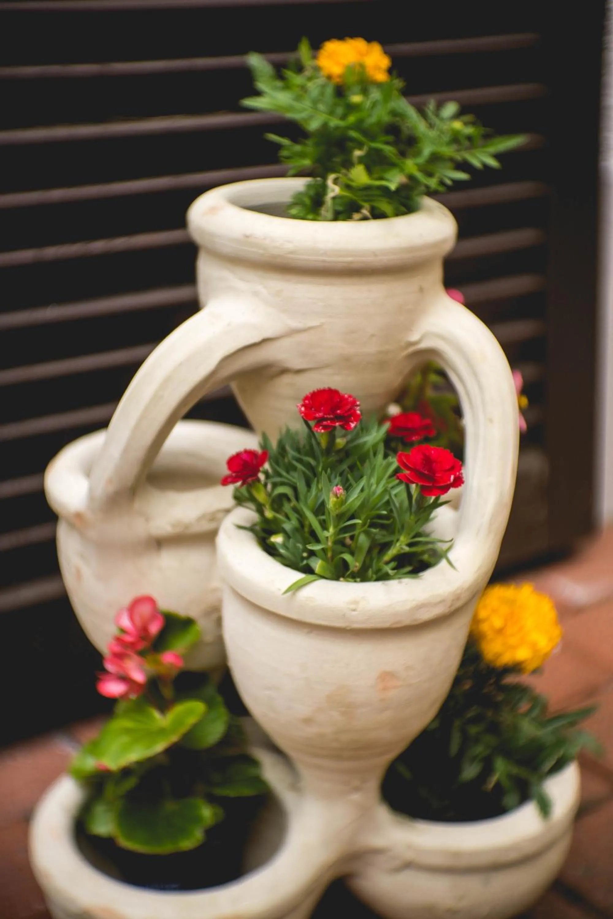 Garden in Gästehaus Engelgasse Herzogenaurach