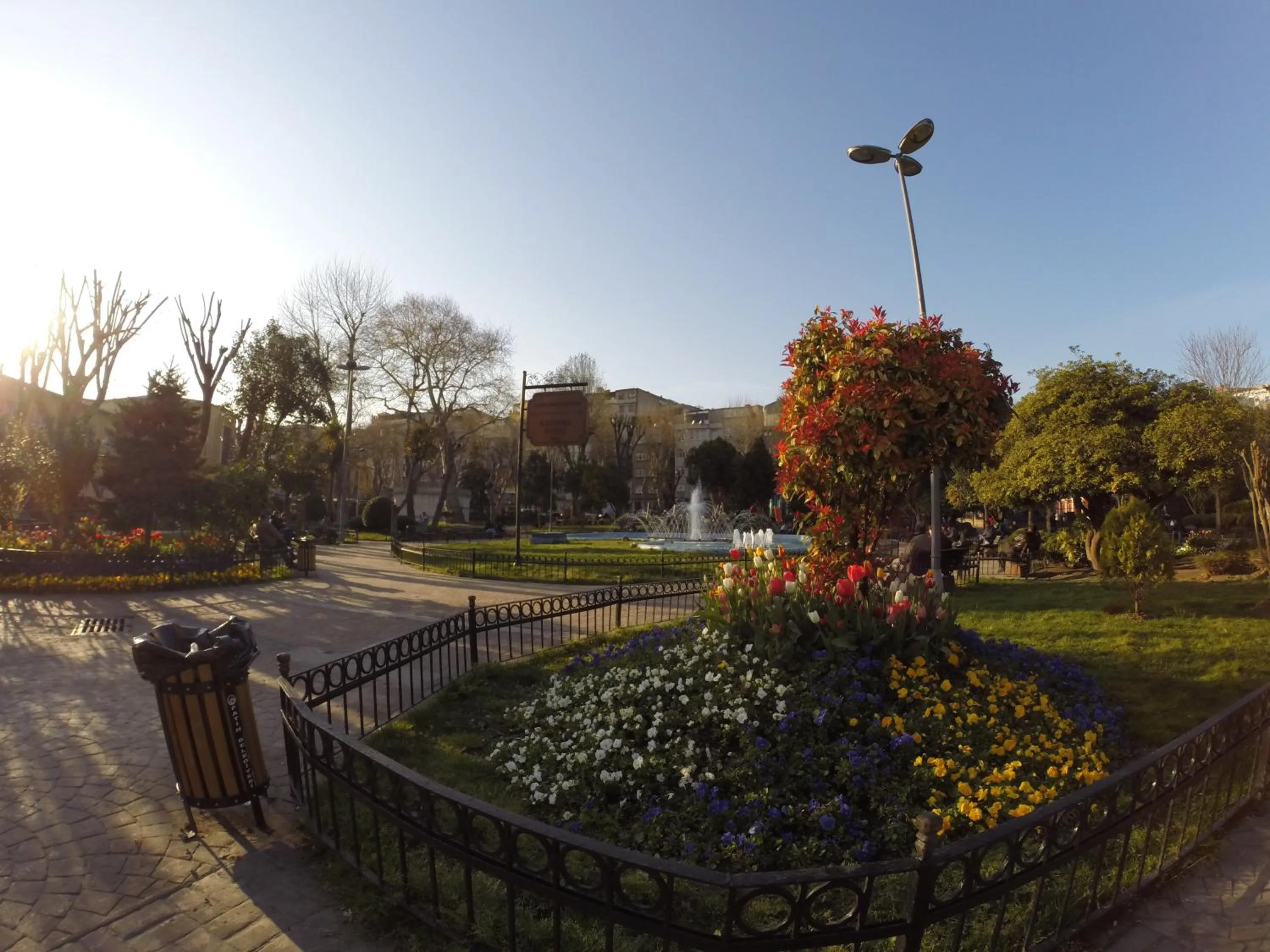 Natural landscape in Meydan Suites