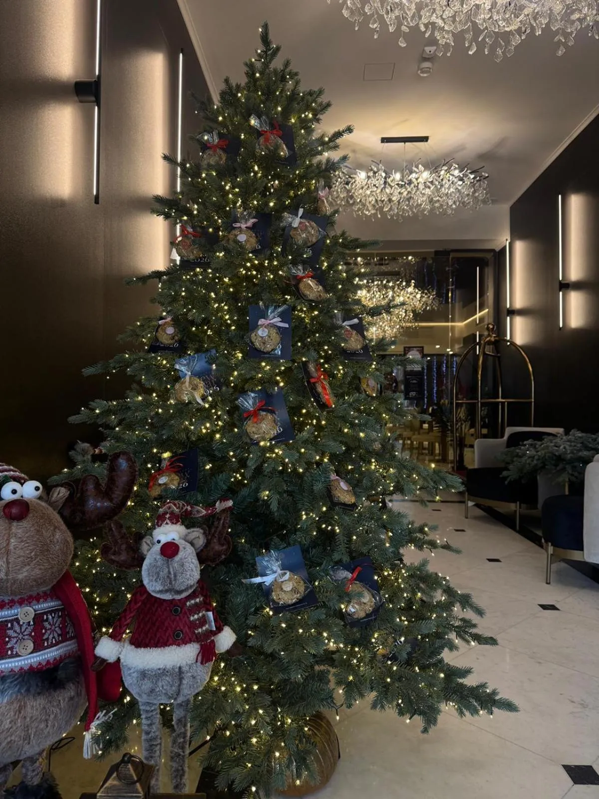 Floor plan in Le Blanc Cotroceni Hotel