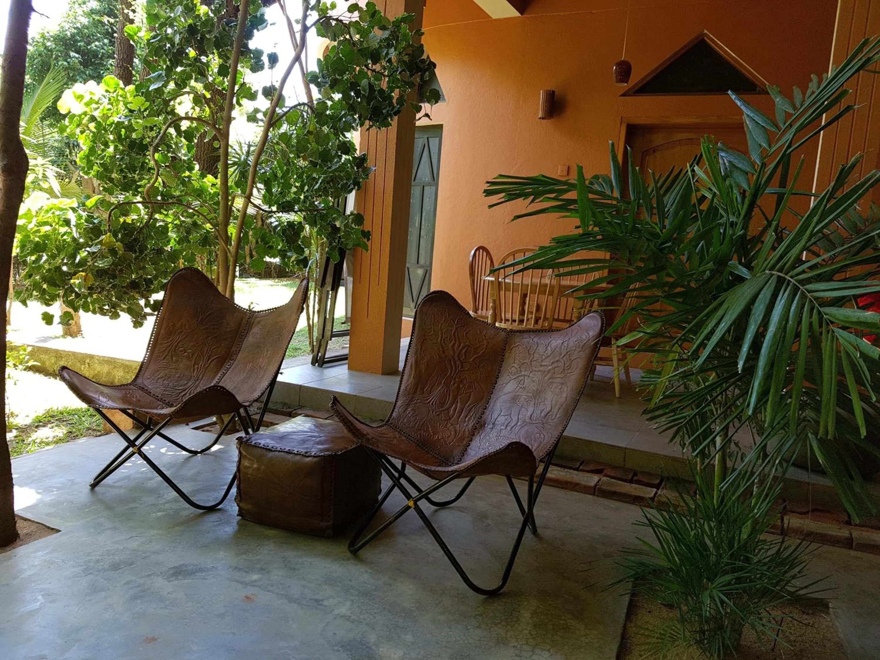 Garden in My Village