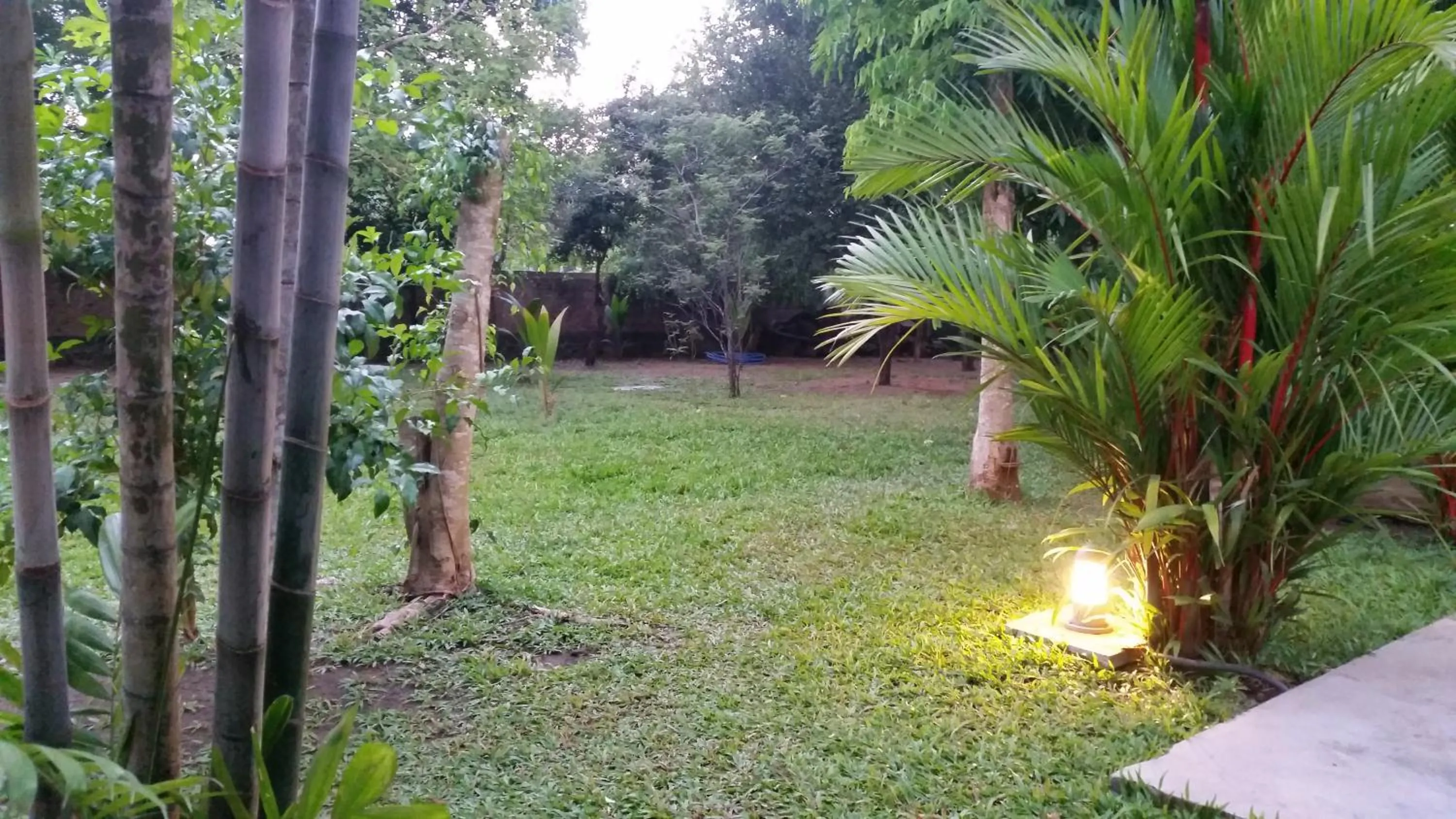 Garden in My Village