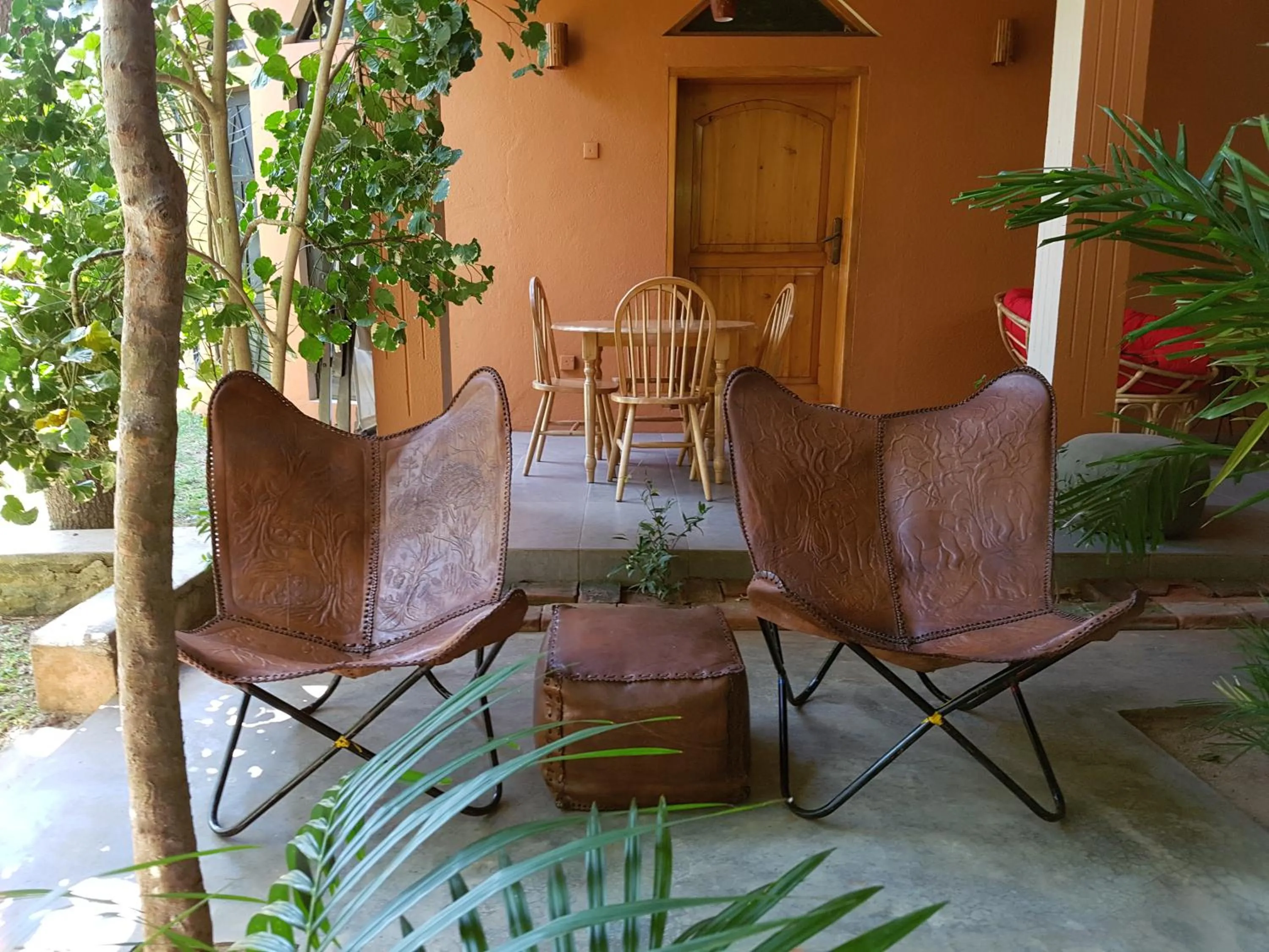 Garden in My Village