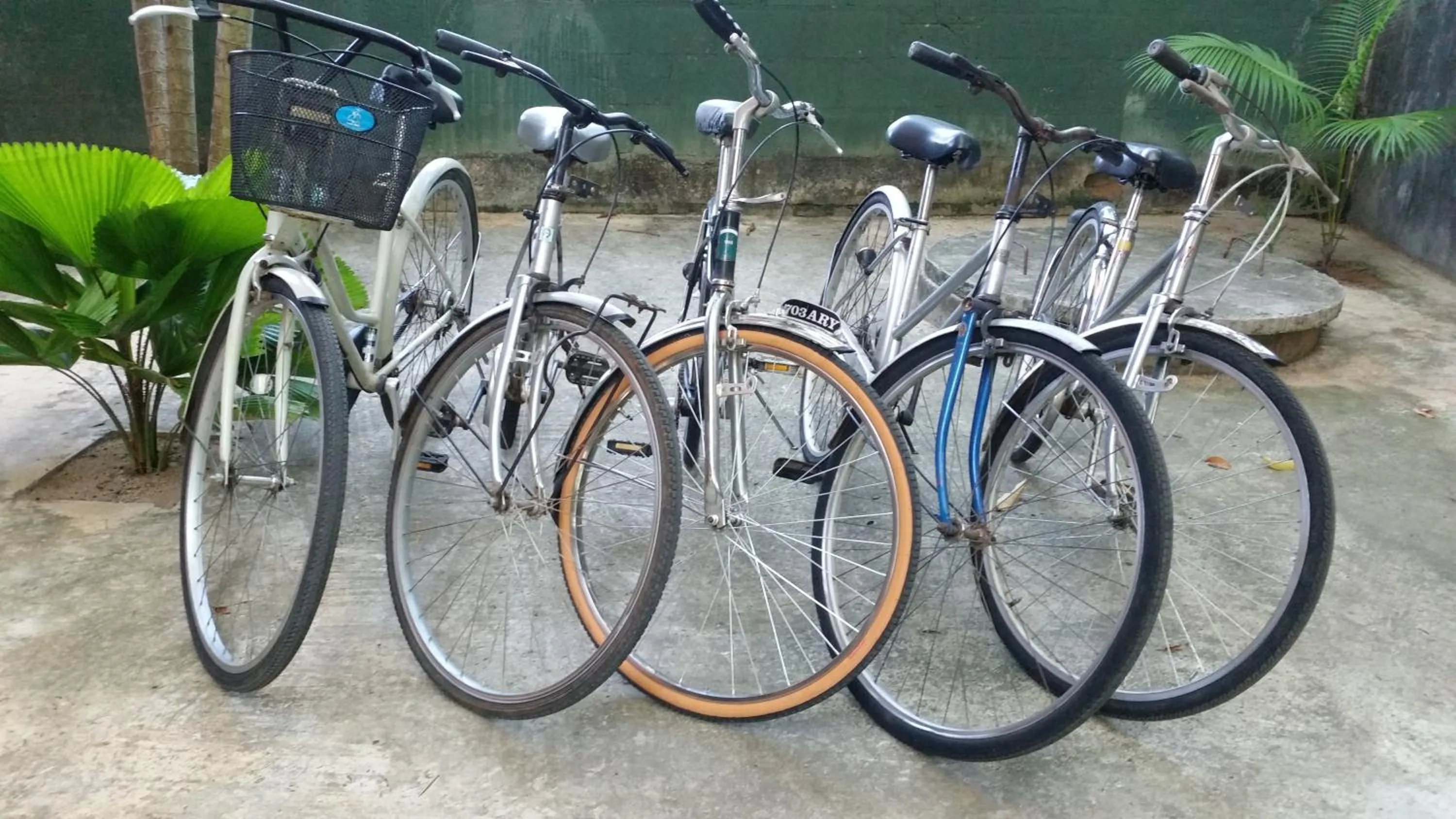 Cycling in My Village