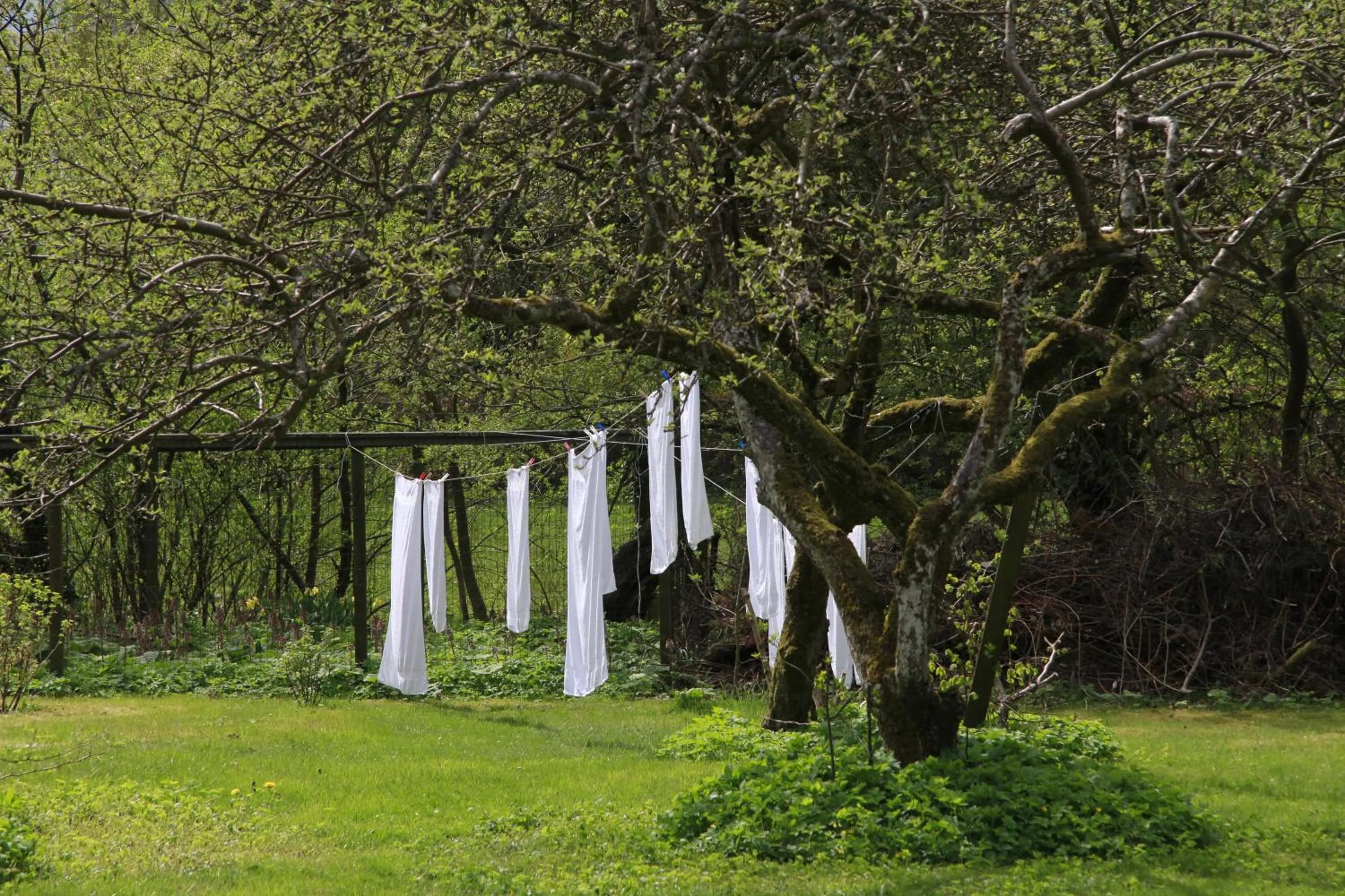 Garden in Vemmetofte Præstegård