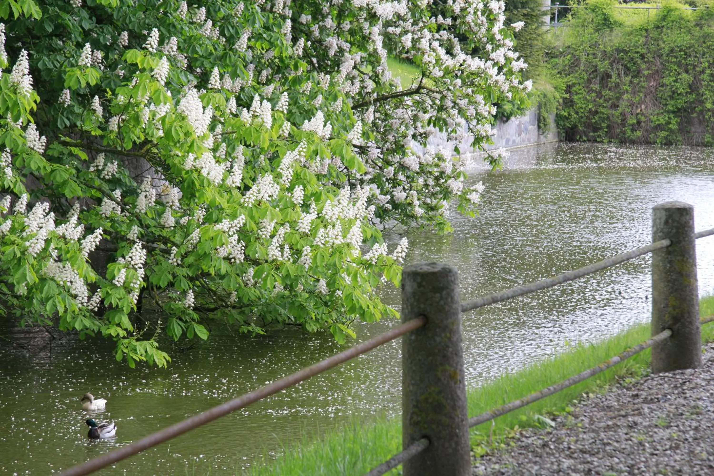 Nearby landmark in Vemmetofte Præstegård