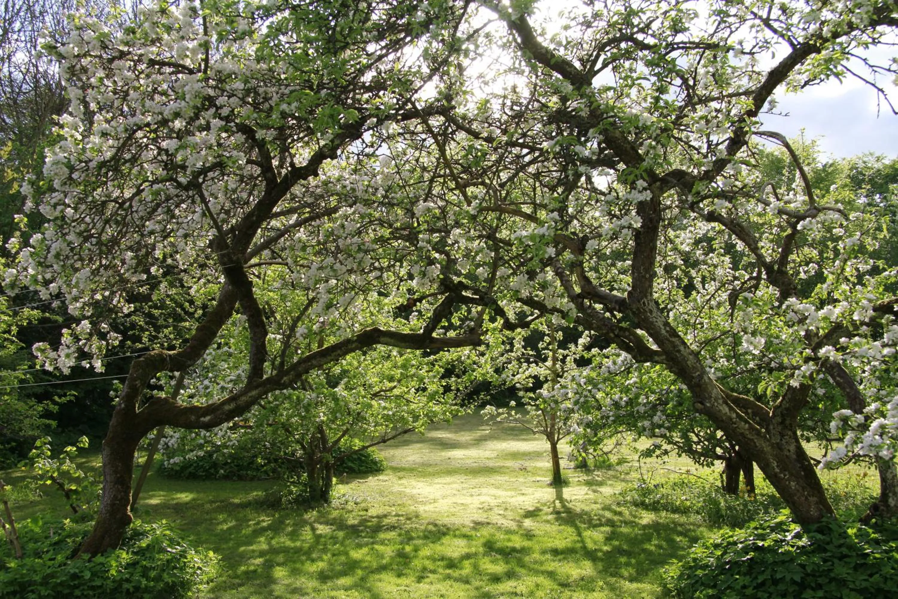 Spring in Vemmetofte Præstegård