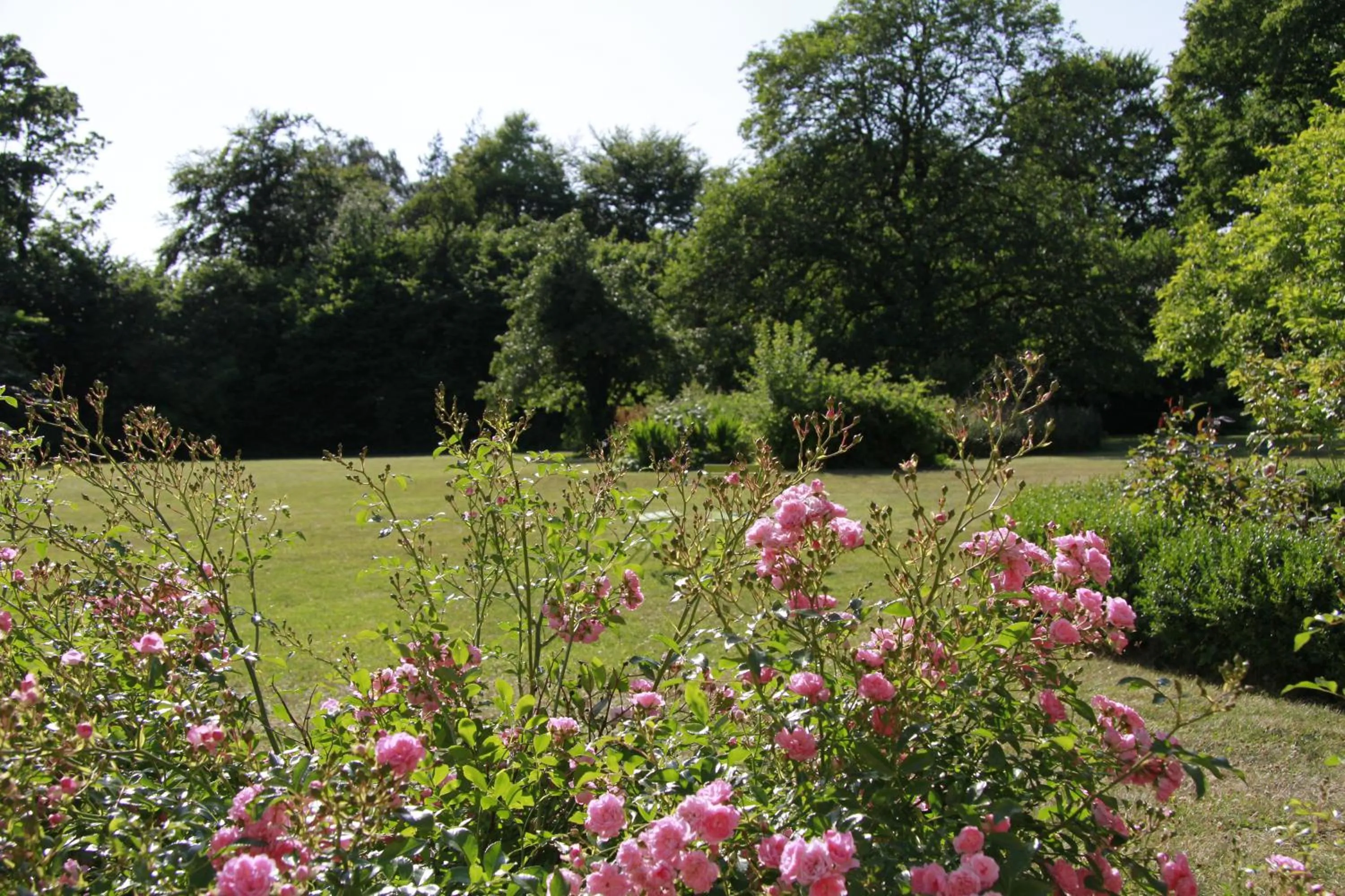 Garden in Vemmetofte Præstegård