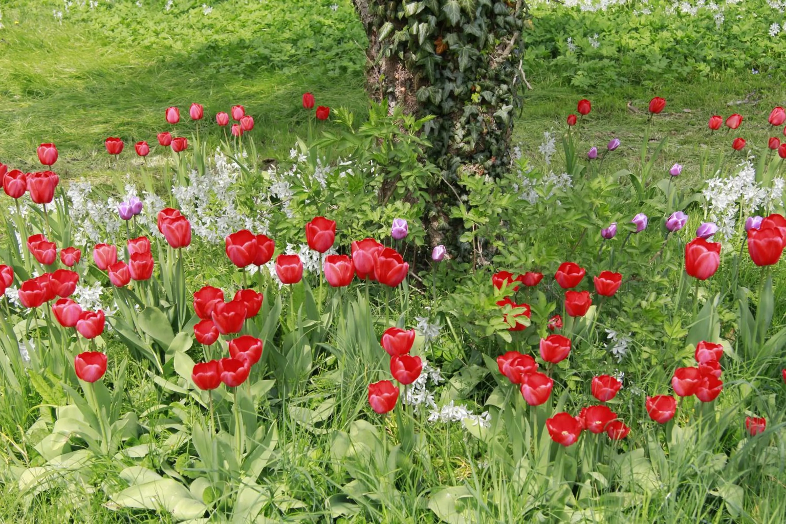Natural landscape in Vemmetofte Præstegård