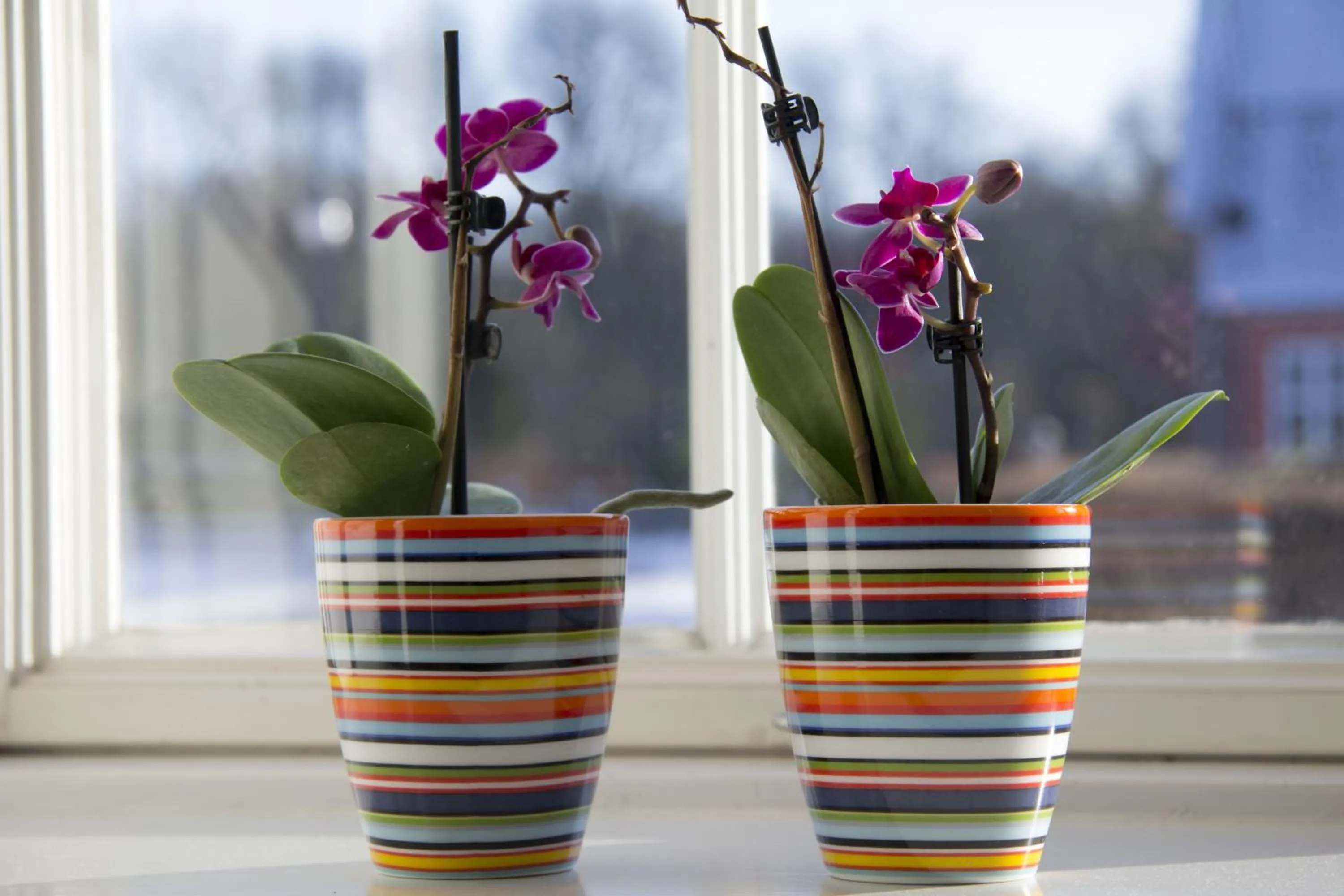 View (from property/room) in Vemmetofte Præstegård