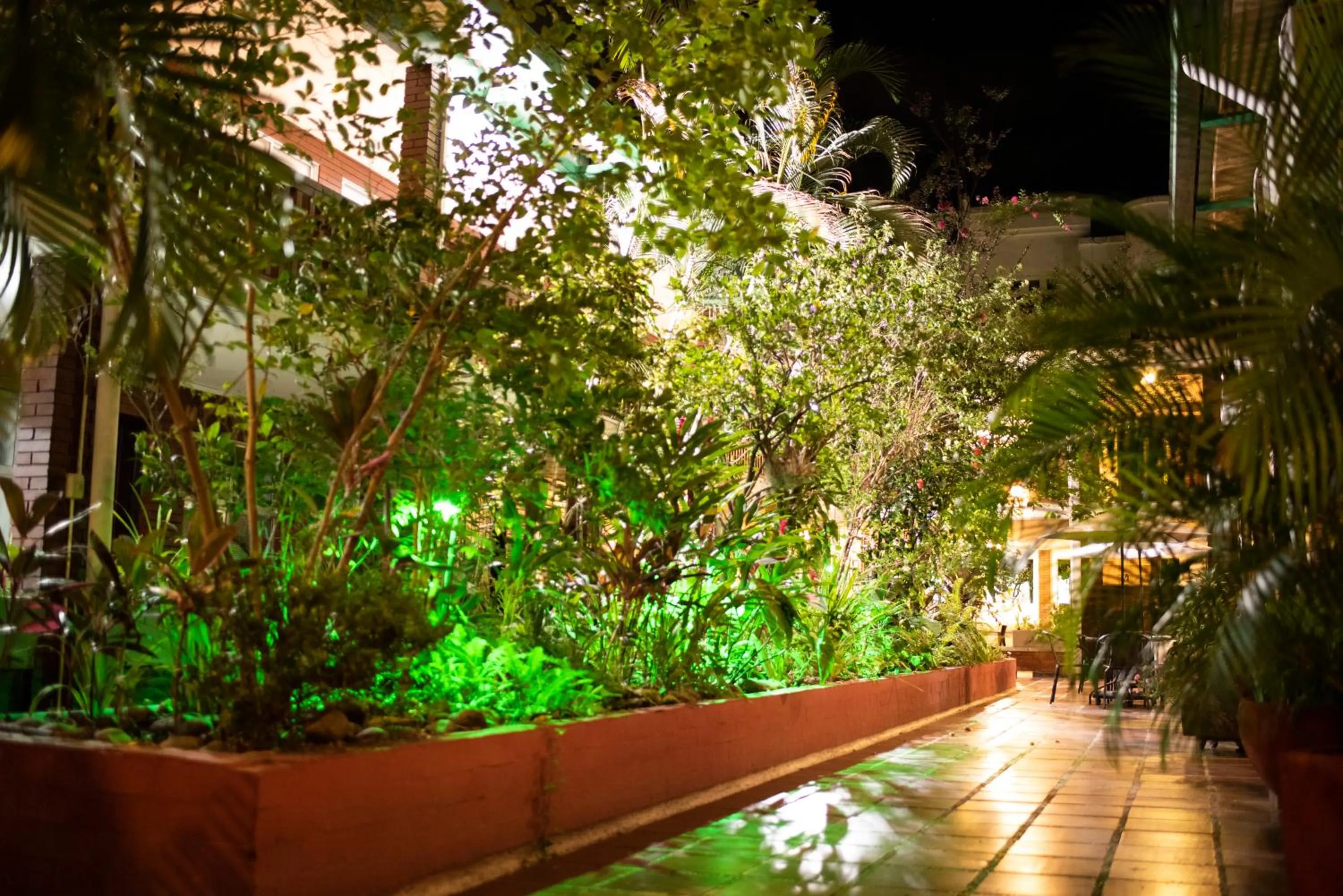 Patio in Hotel Camoruco
