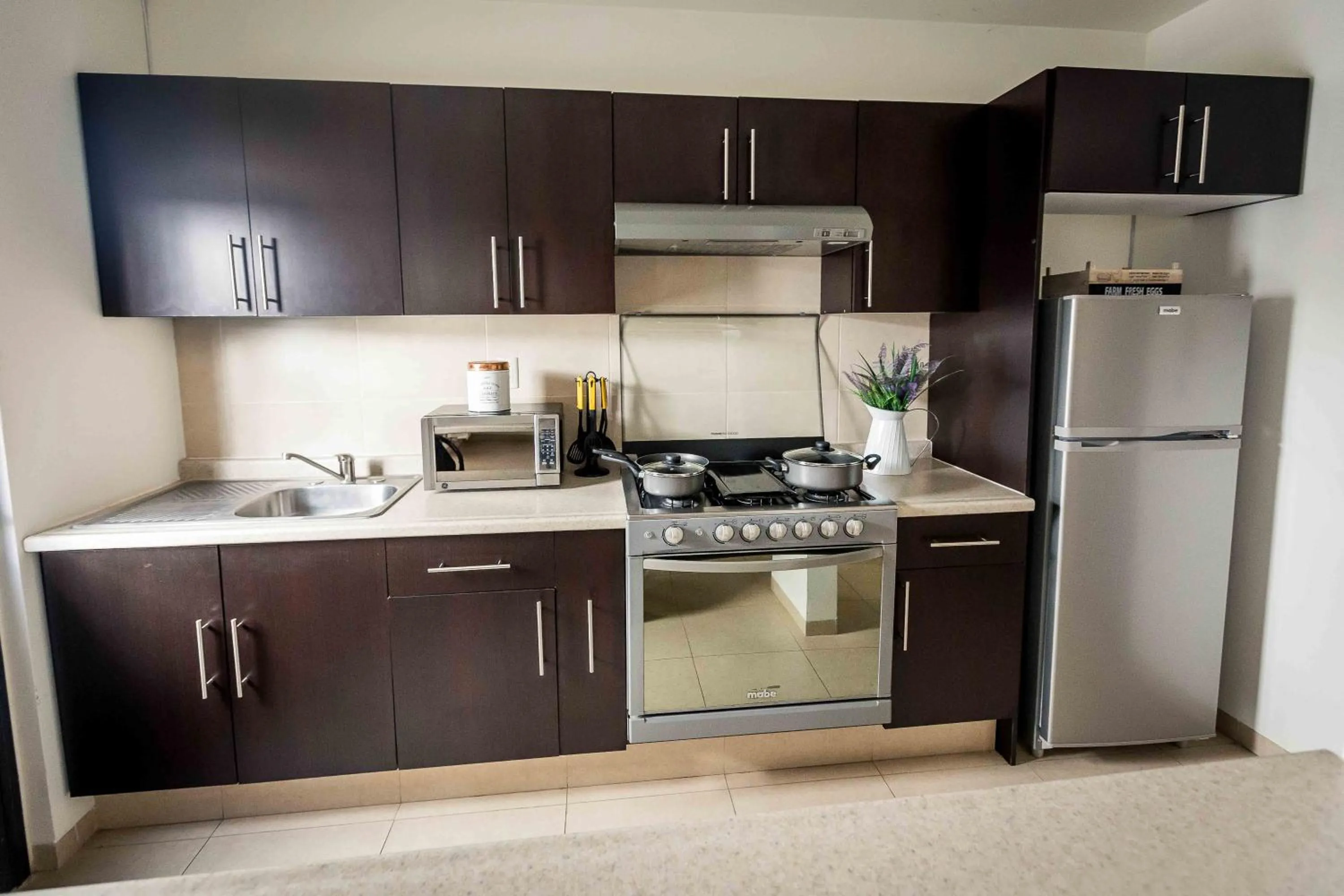 Kitchen or kitchenette in Redwood Villas Zona Industrial San Luis Potosi