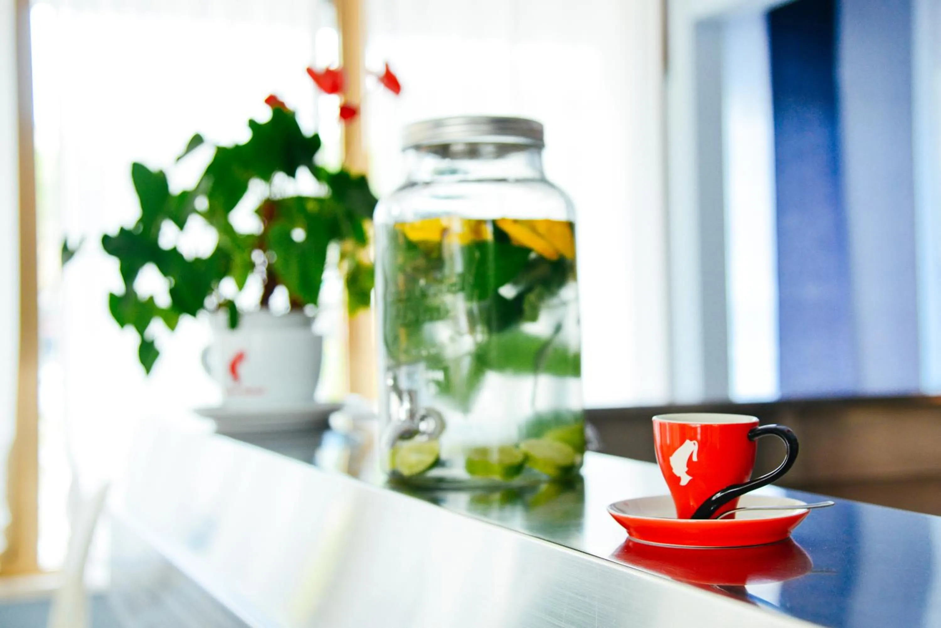 Lounge or bar in Hotel Domingo