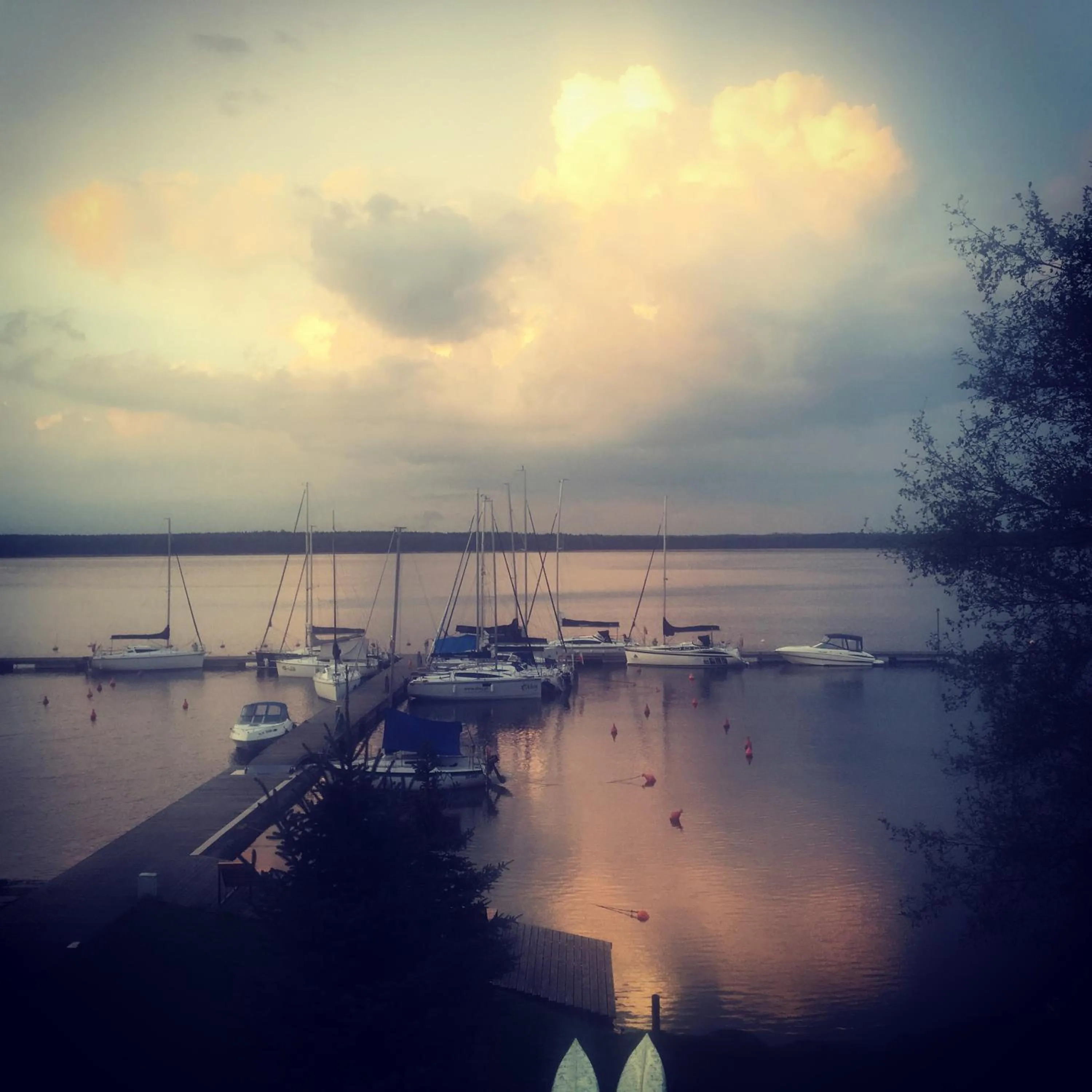 Natural landscape in Marina Nawigator