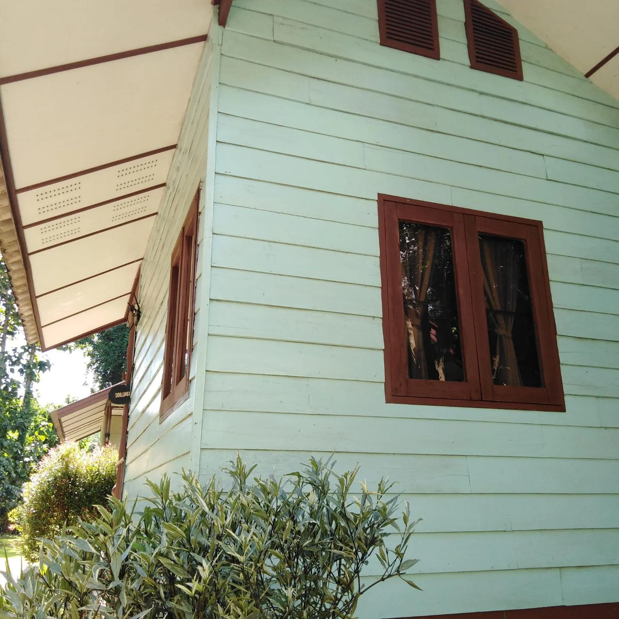 At Home Chiang Dao, Pooch Lovers