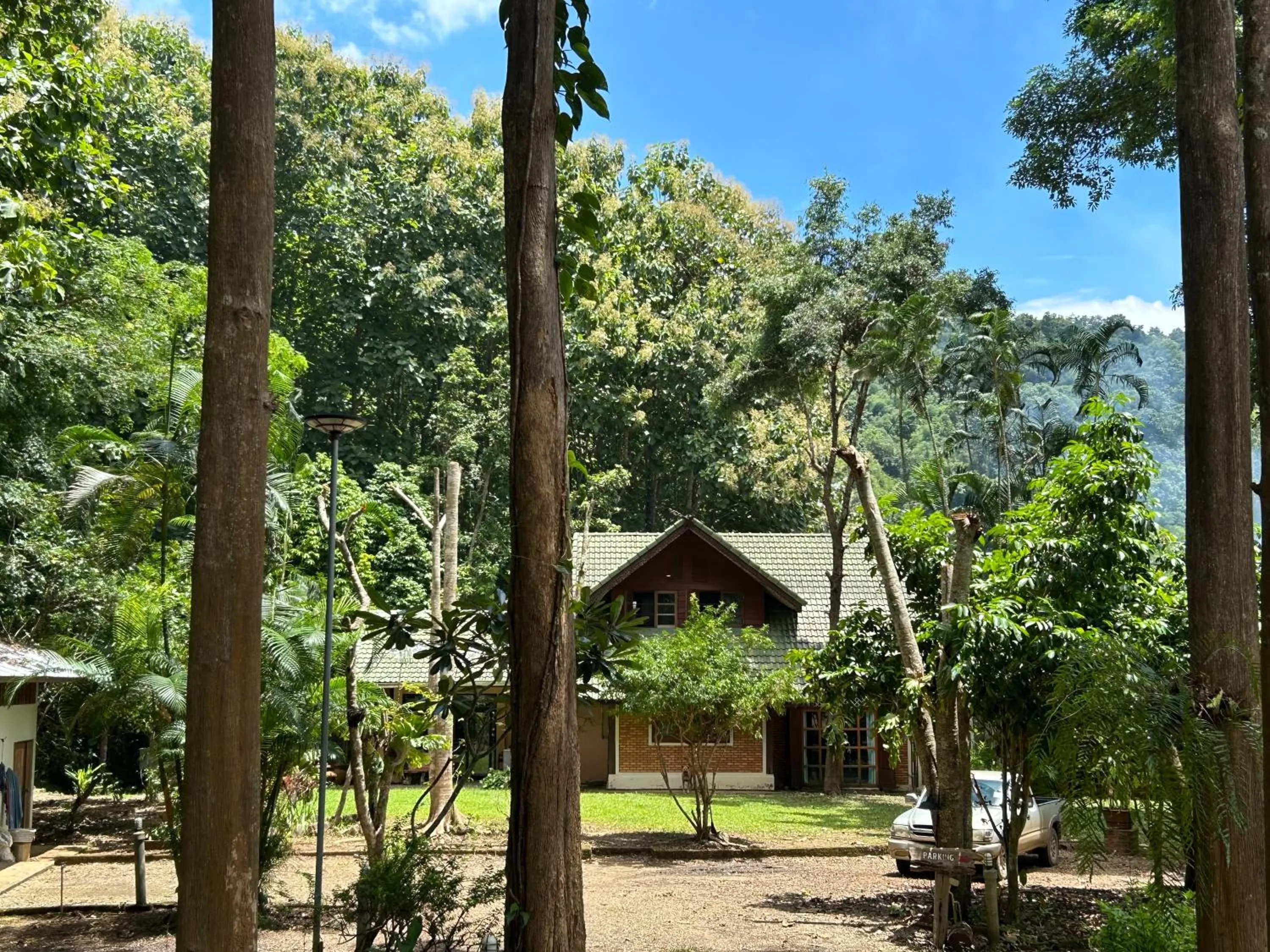 At Home Chiang Dao, Pooch Lovers