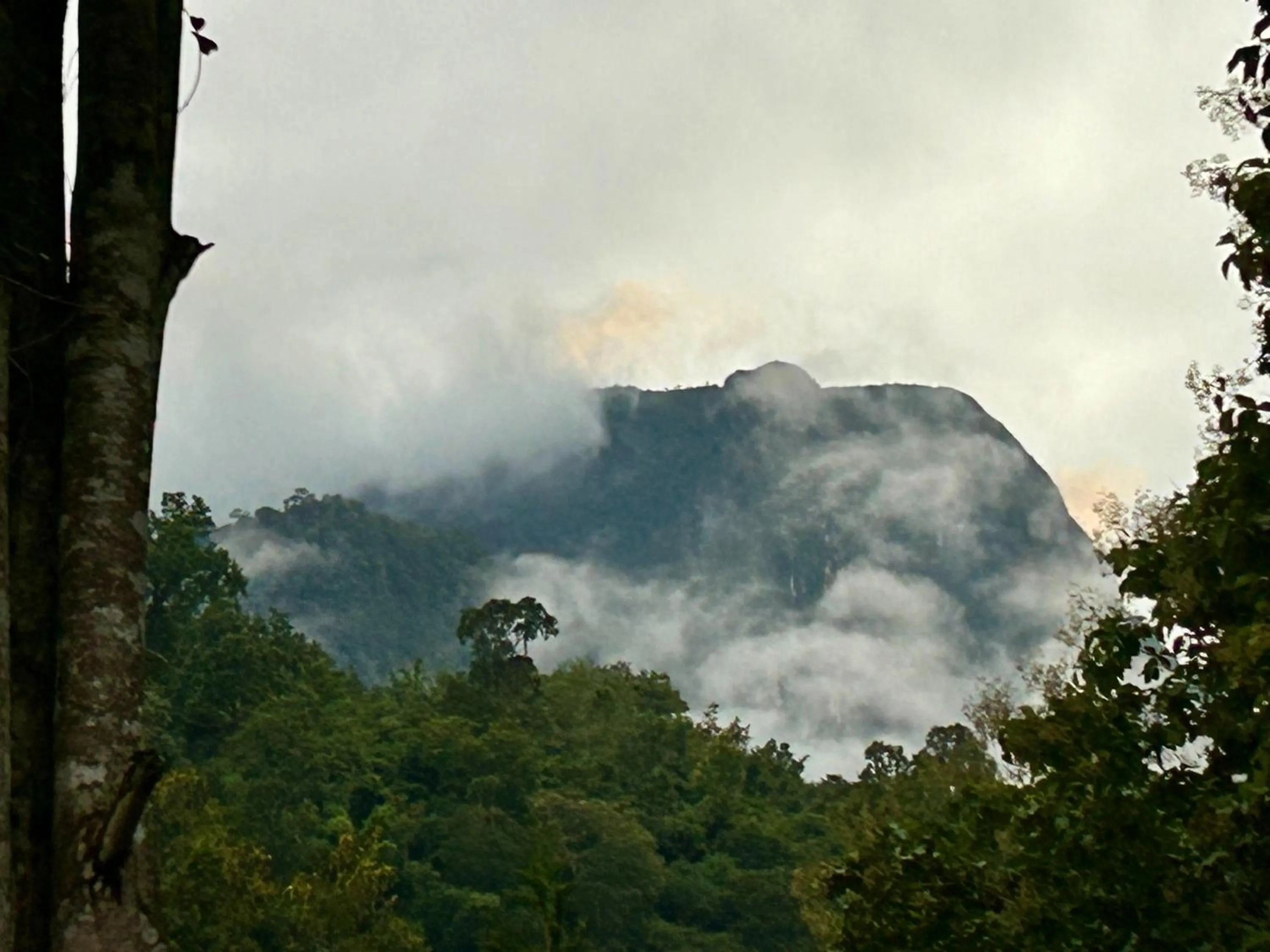 At Home Chiang Dao, Pooch Lovers