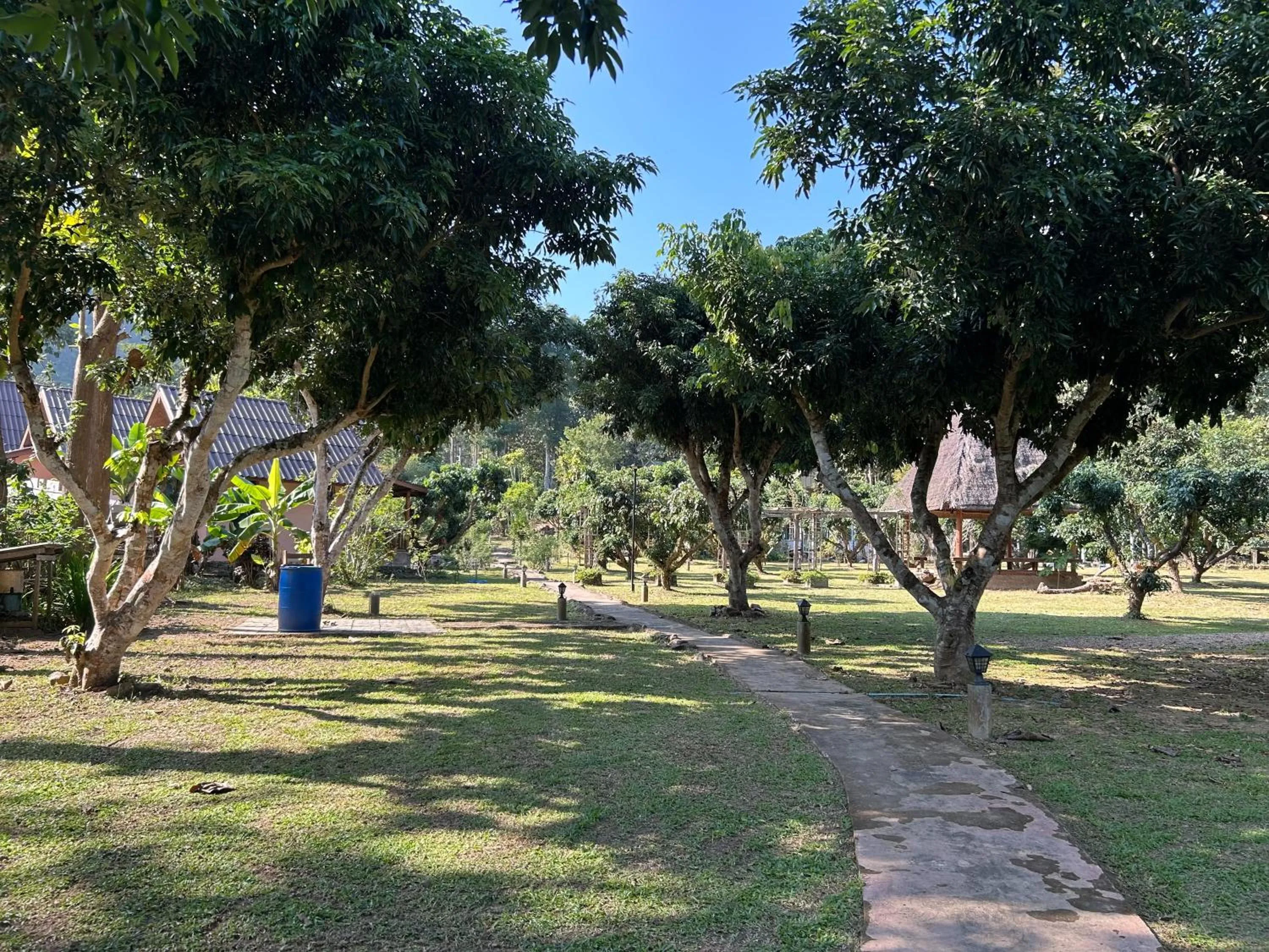 At Home Chiang Dao, Pooch Lovers