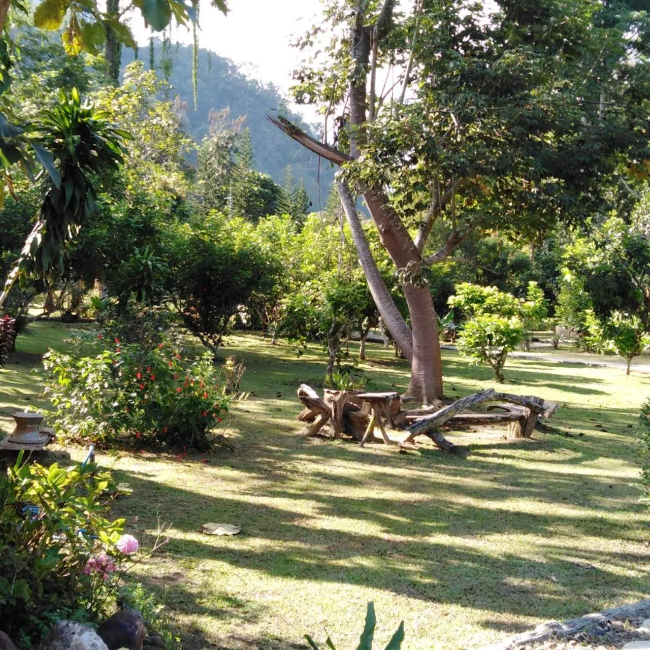 Natural landscape in At Home Chiang Dao, Pooch Lovers