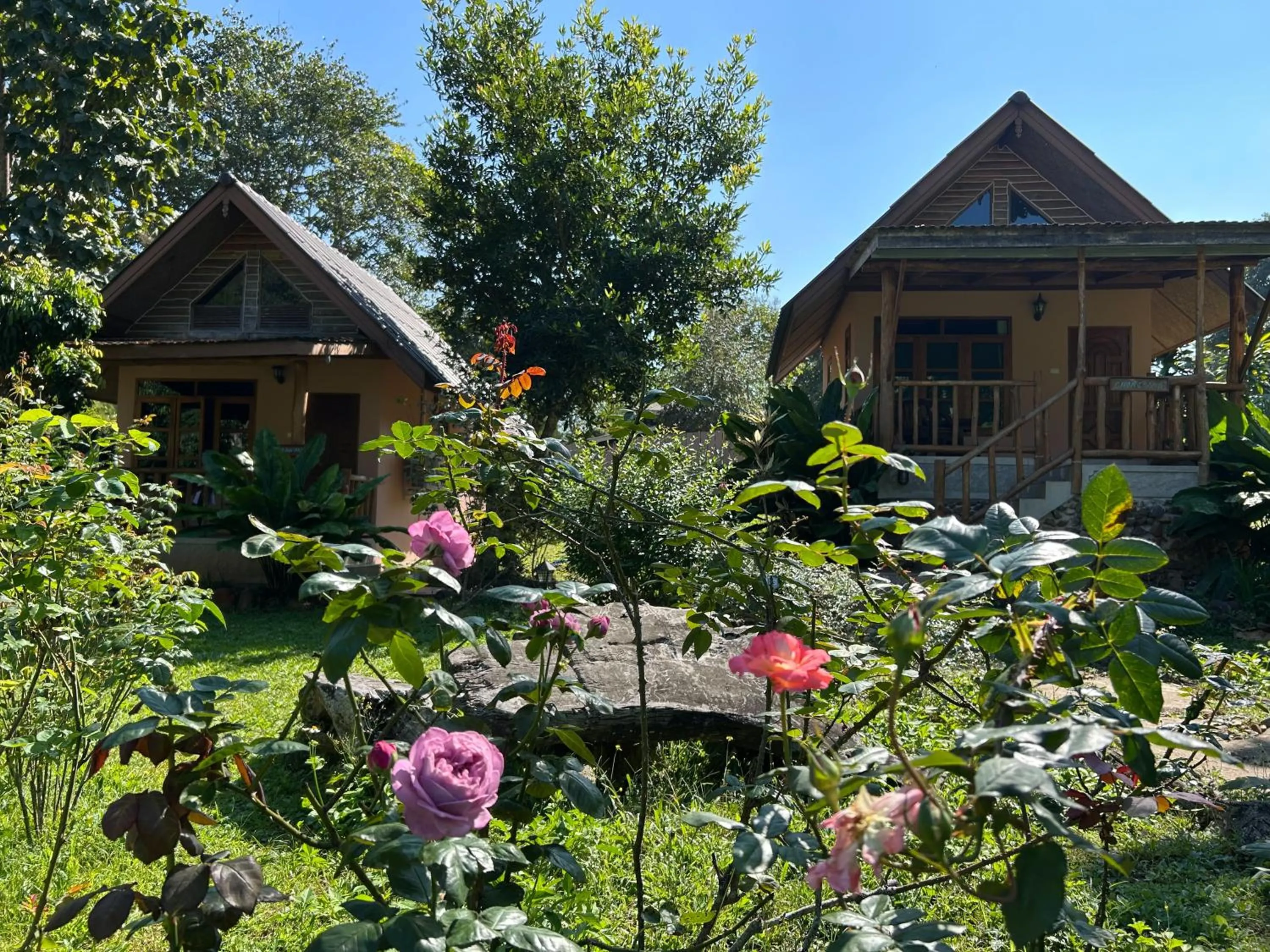 At Home Chiang Dao, Pooch Lovers