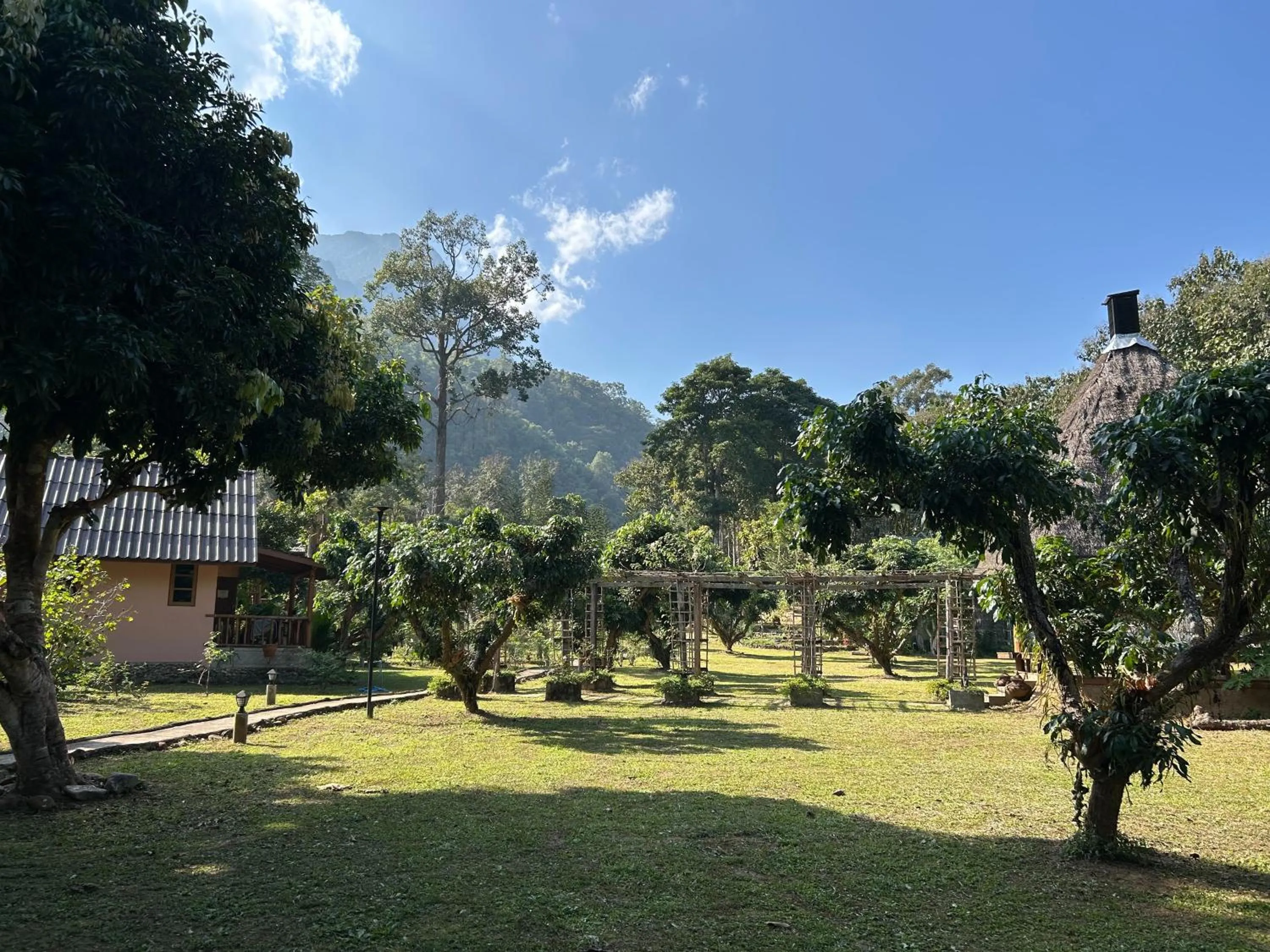 At Home Chiang Dao, Pooch Lovers