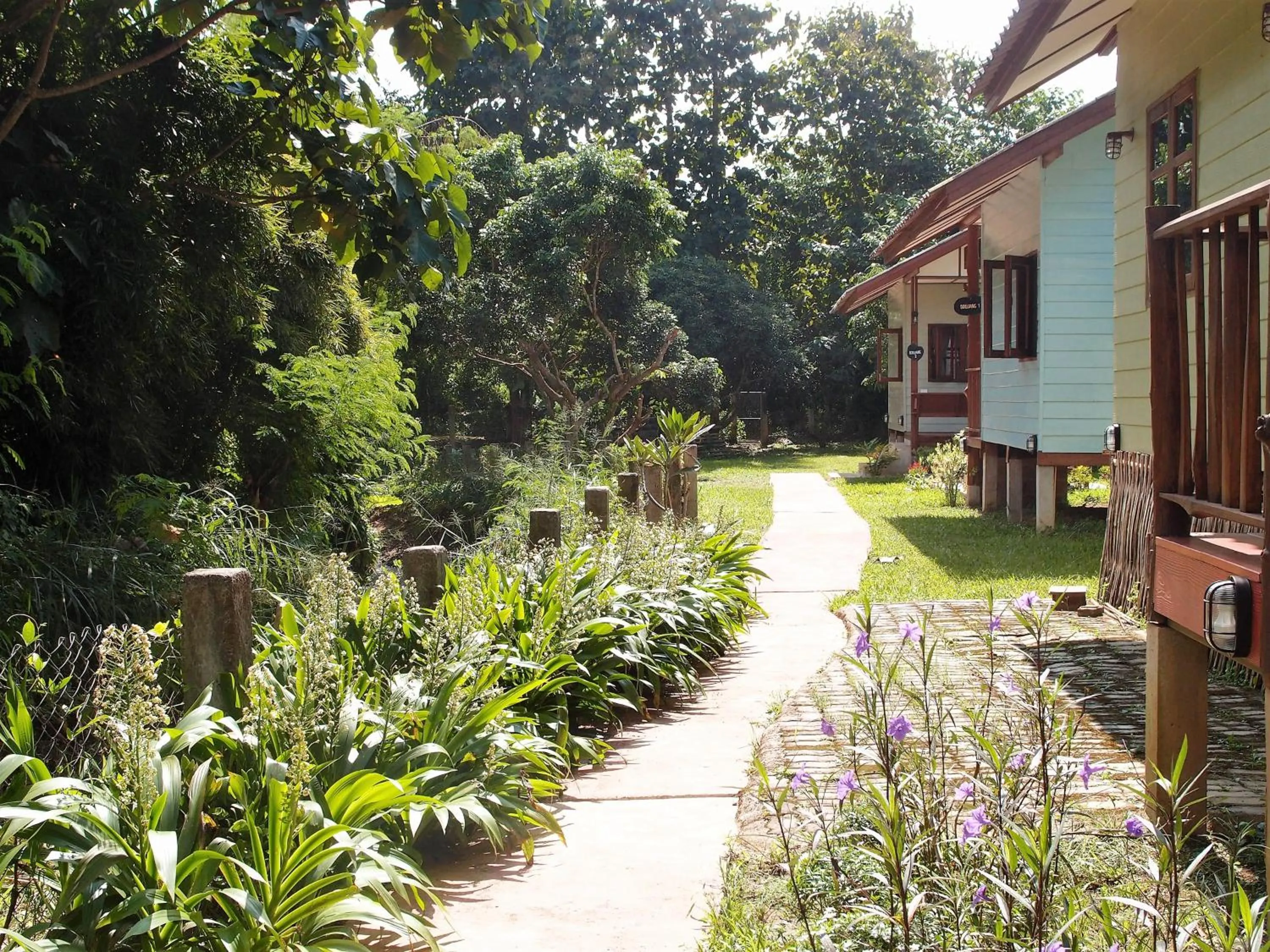 Property building in At Home Chiang Dao, Pooch Lovers