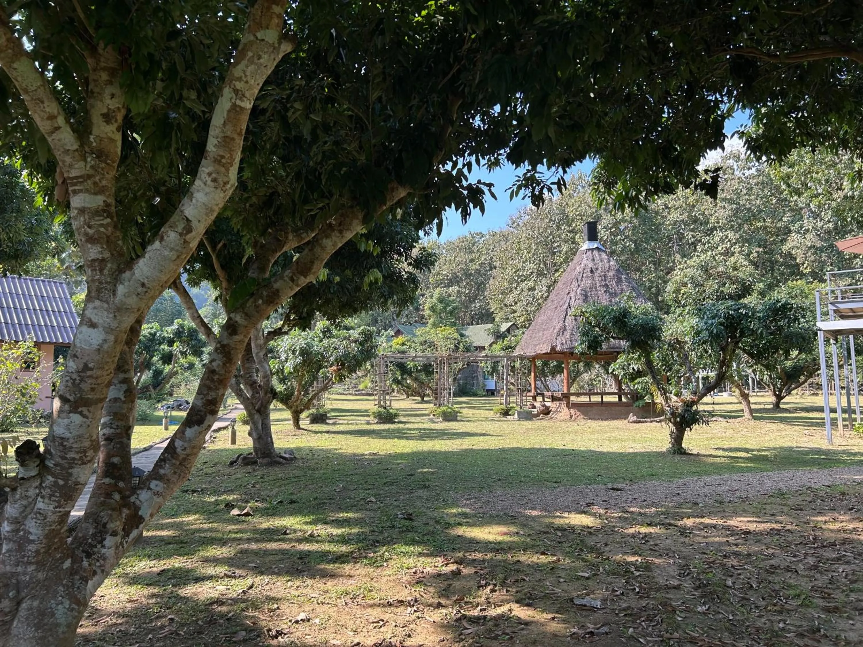 At Home Chiang Dao, Pooch Lovers