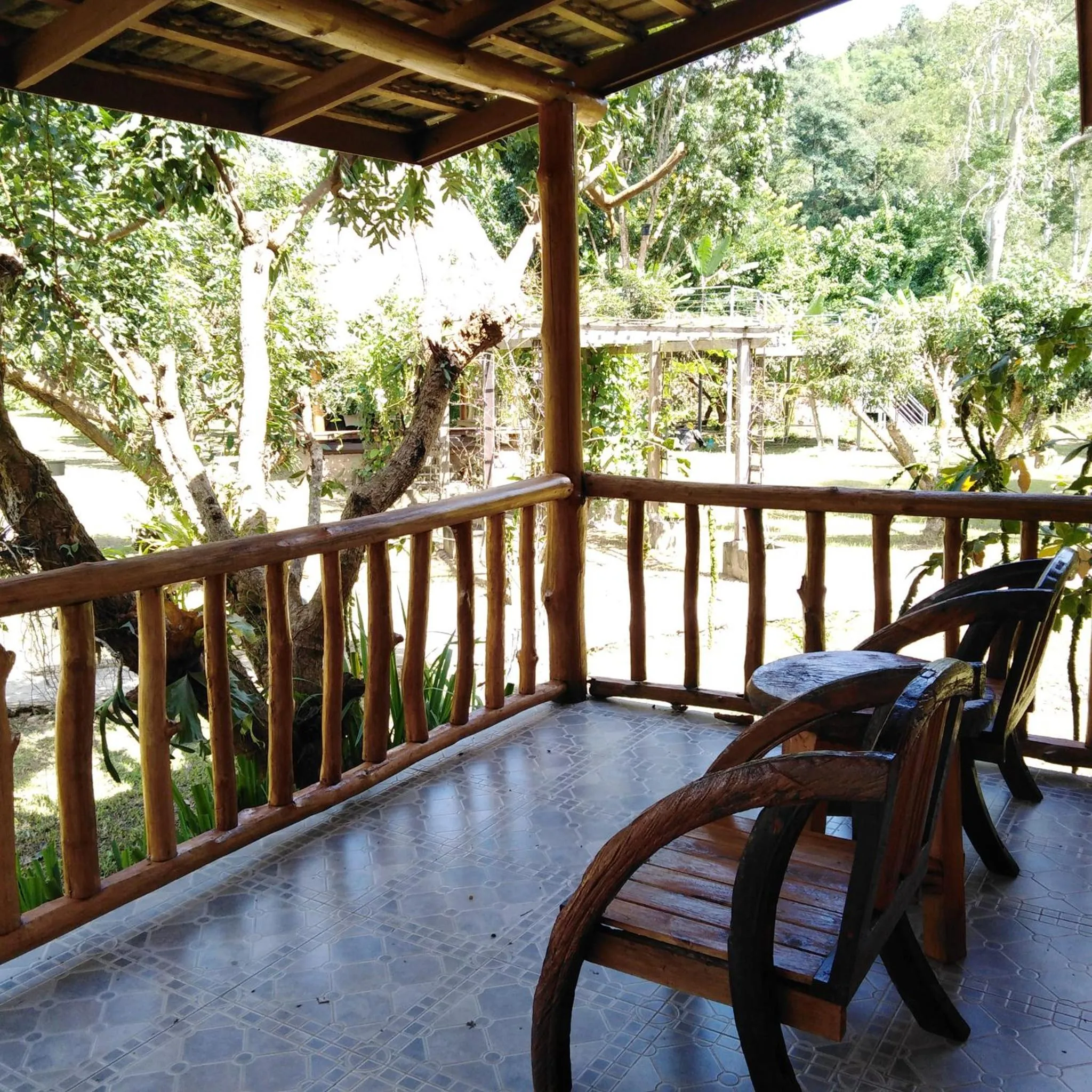 At Home Chiang Dao, Pooch Lovers